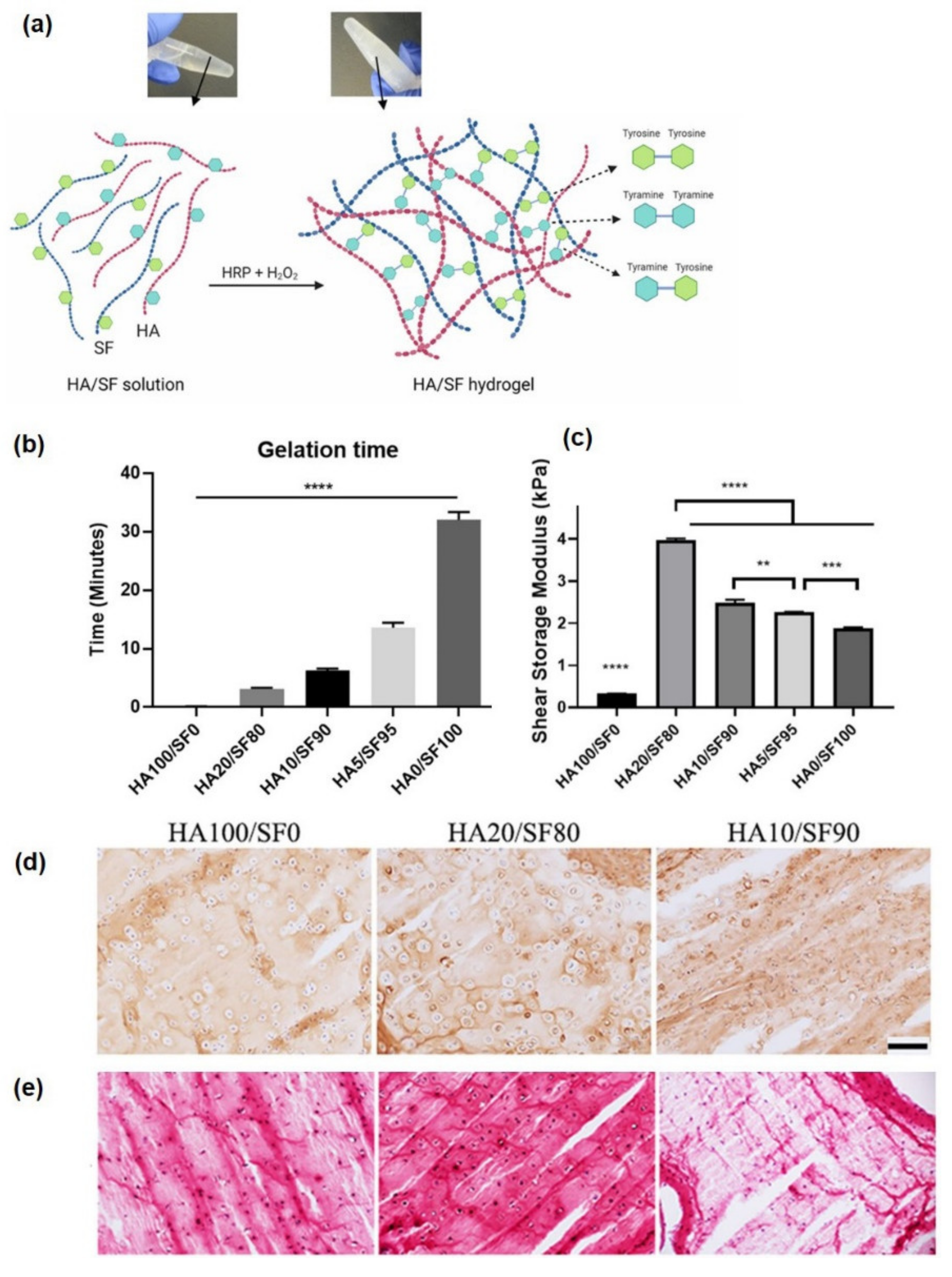 Pharmaceutics 14 00540 g004