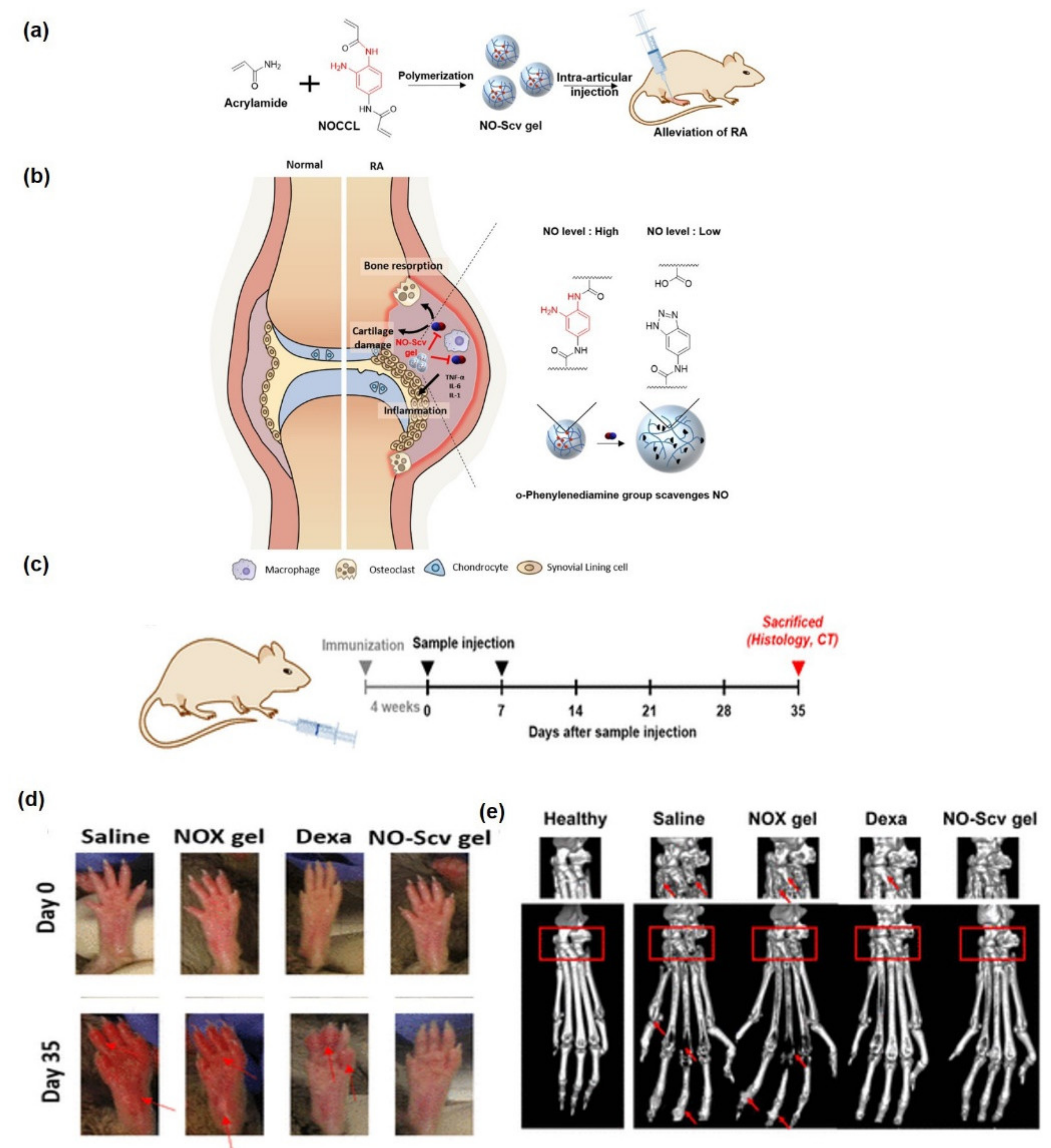 Pharmaceutics 14 00540 g005