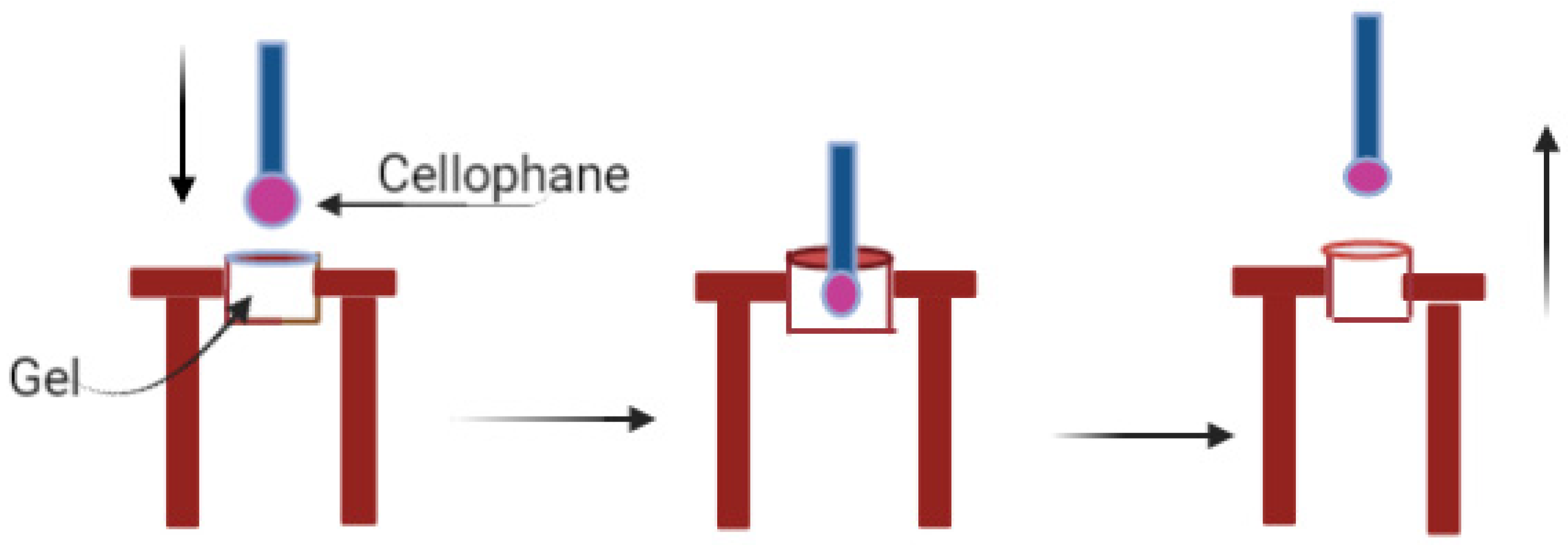 Pharmaceutics 14 00542 g001