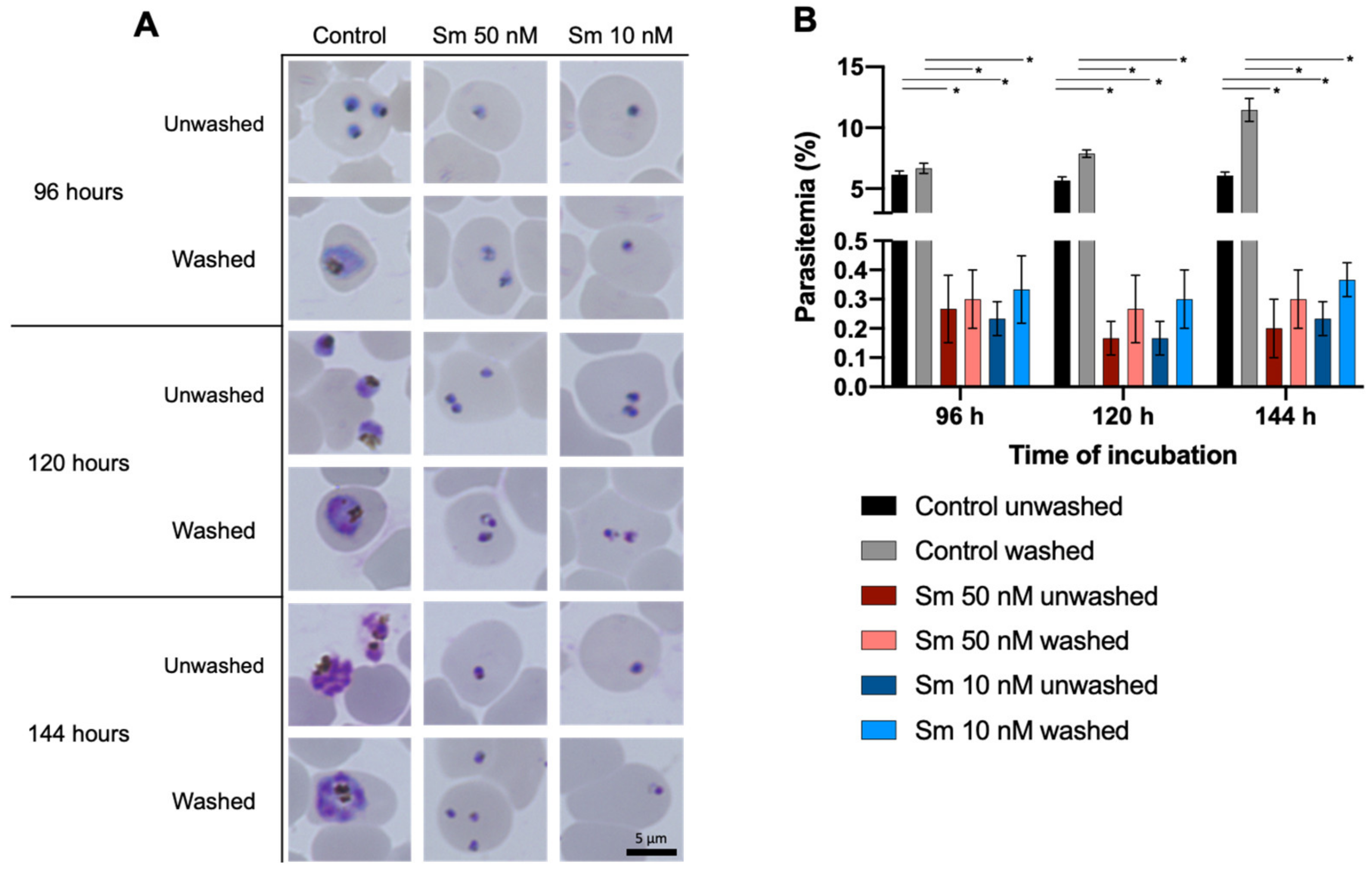 Pharmaceutics 14 00544 g003