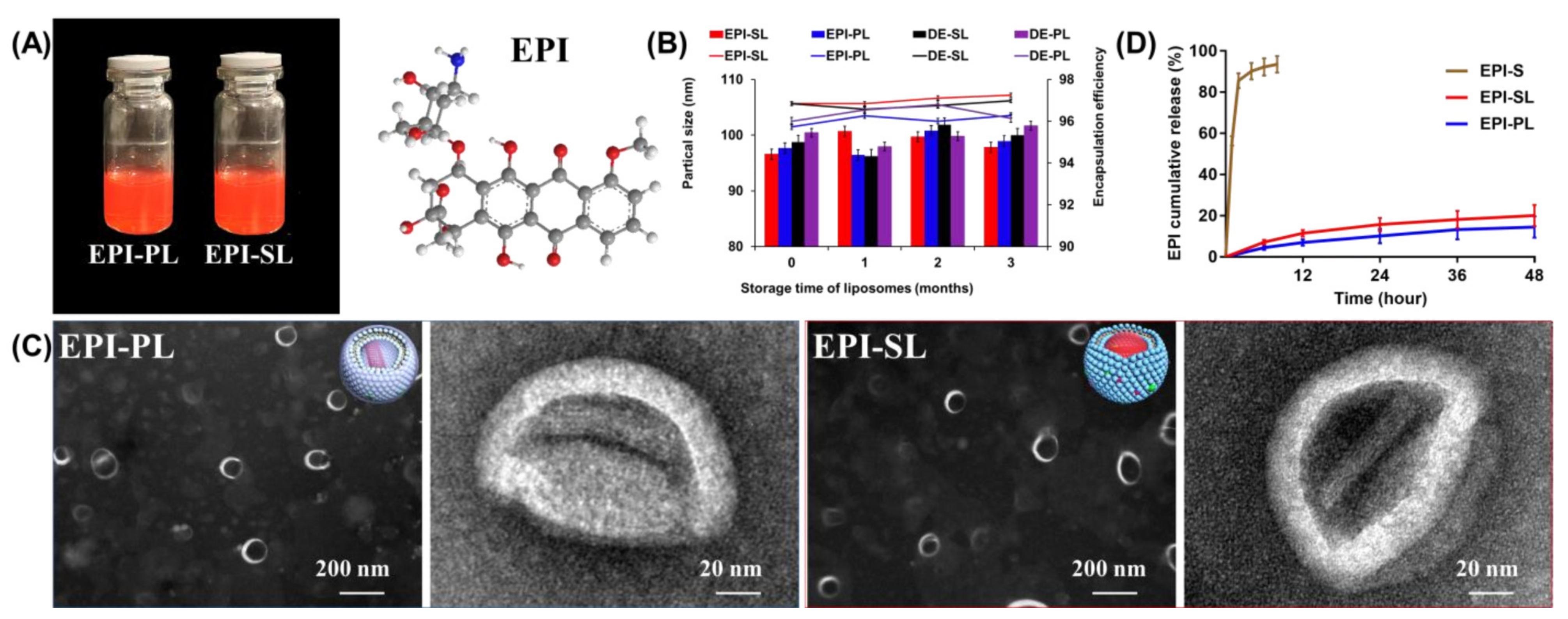 Pharmaceutics 14 00545 g002