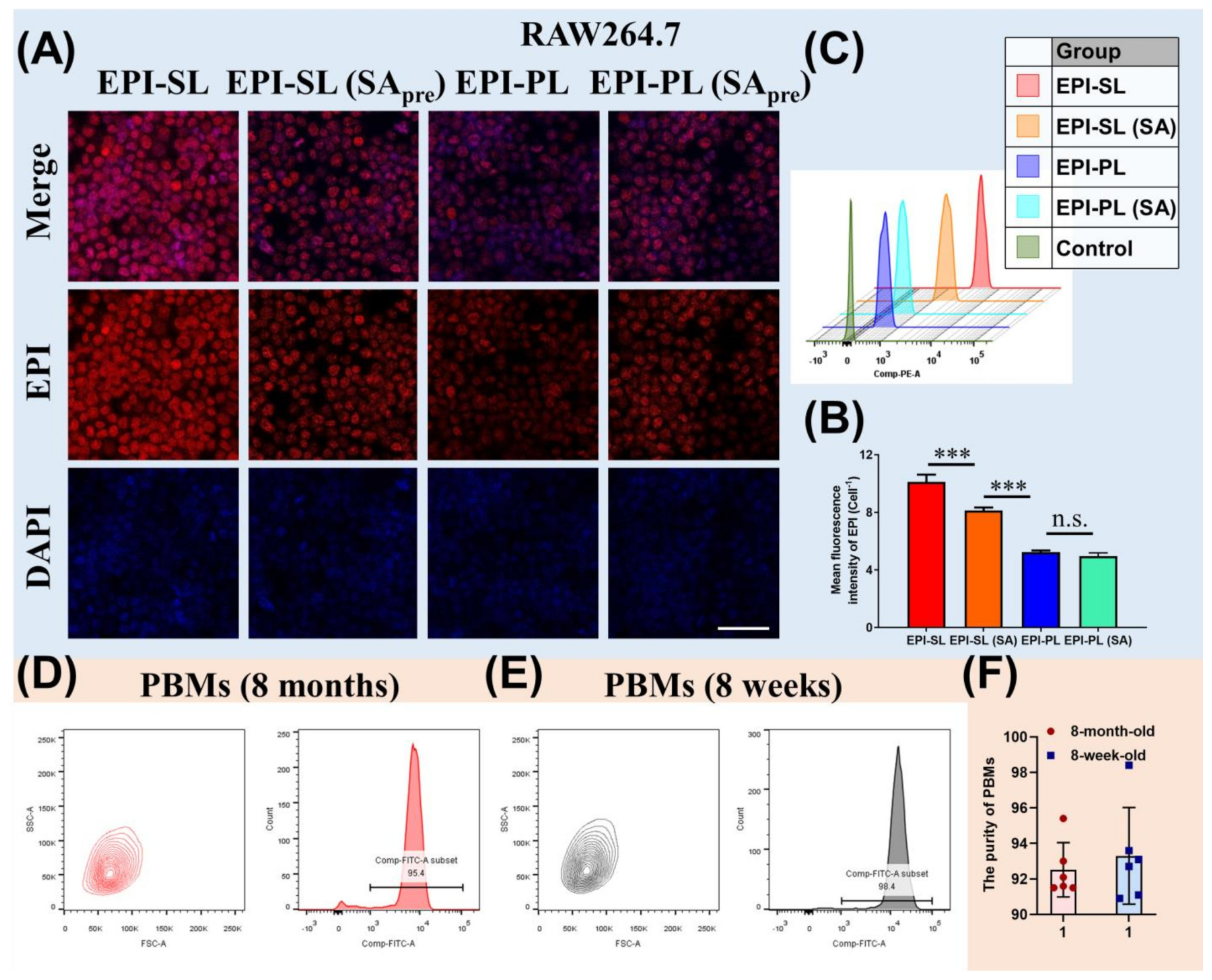 Pharmaceutics 14 00545 g003