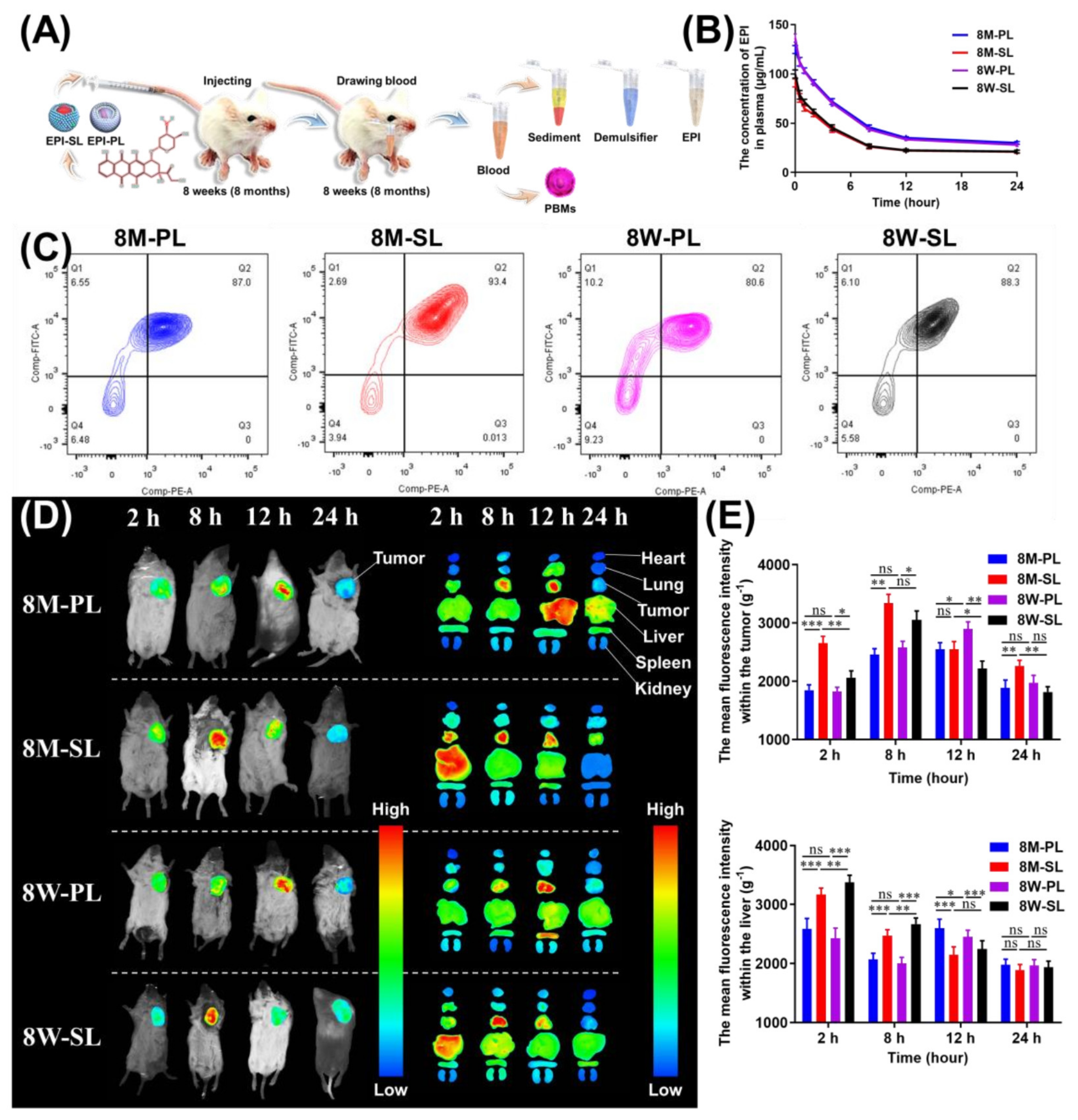 Pharmaceutics 14 00545 g005