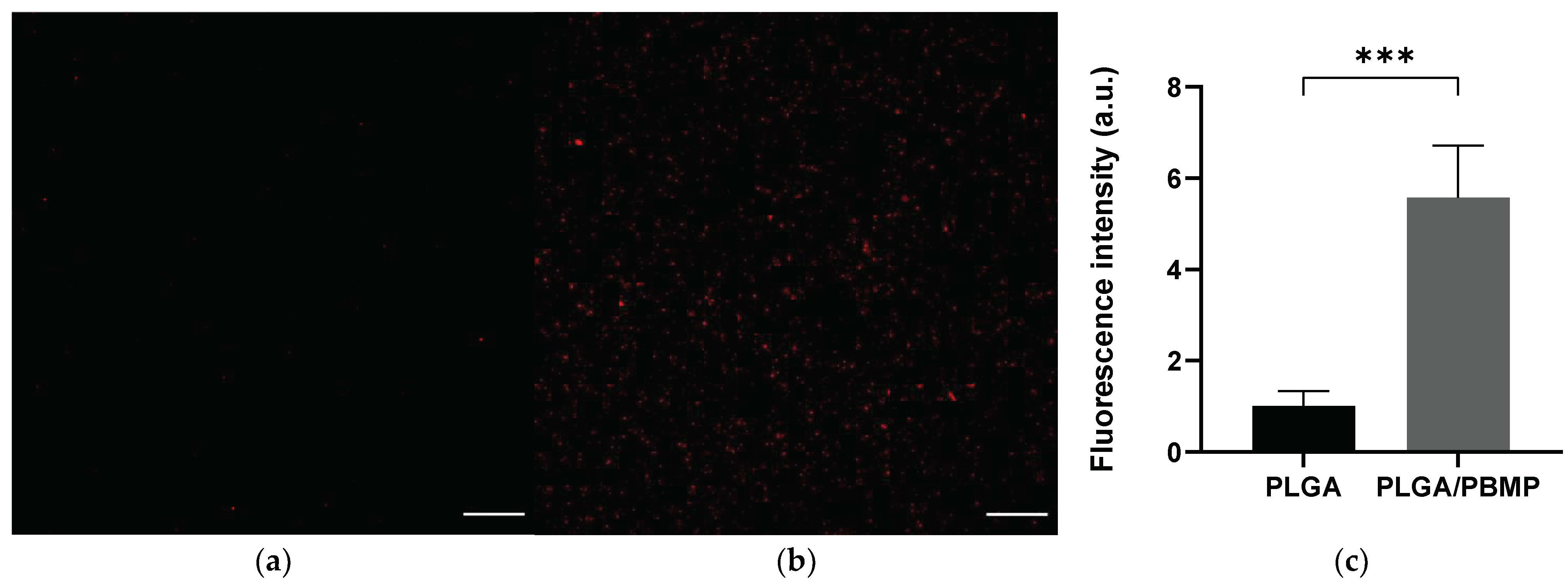Pharmaceutics 14 00546 g003 550