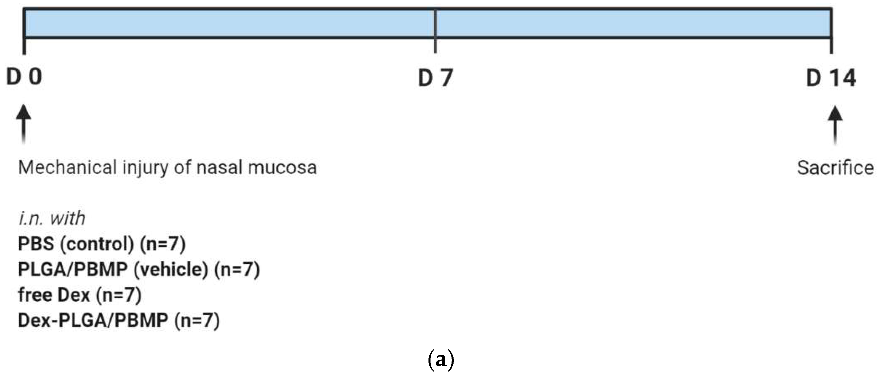 Pharmaceutics 14 00546 g005a 550