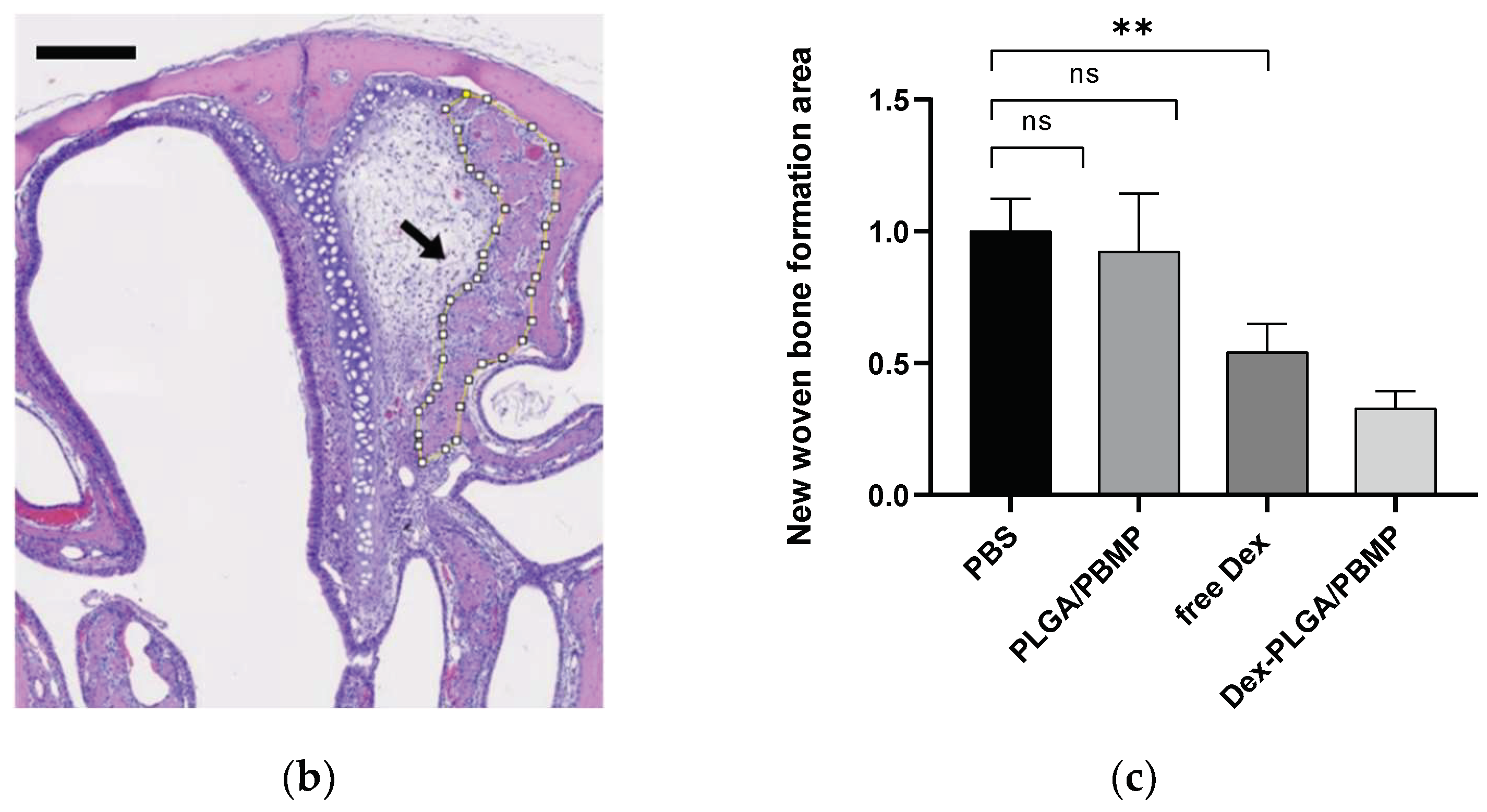 Pharmaceutics 14 00546 g005b 550