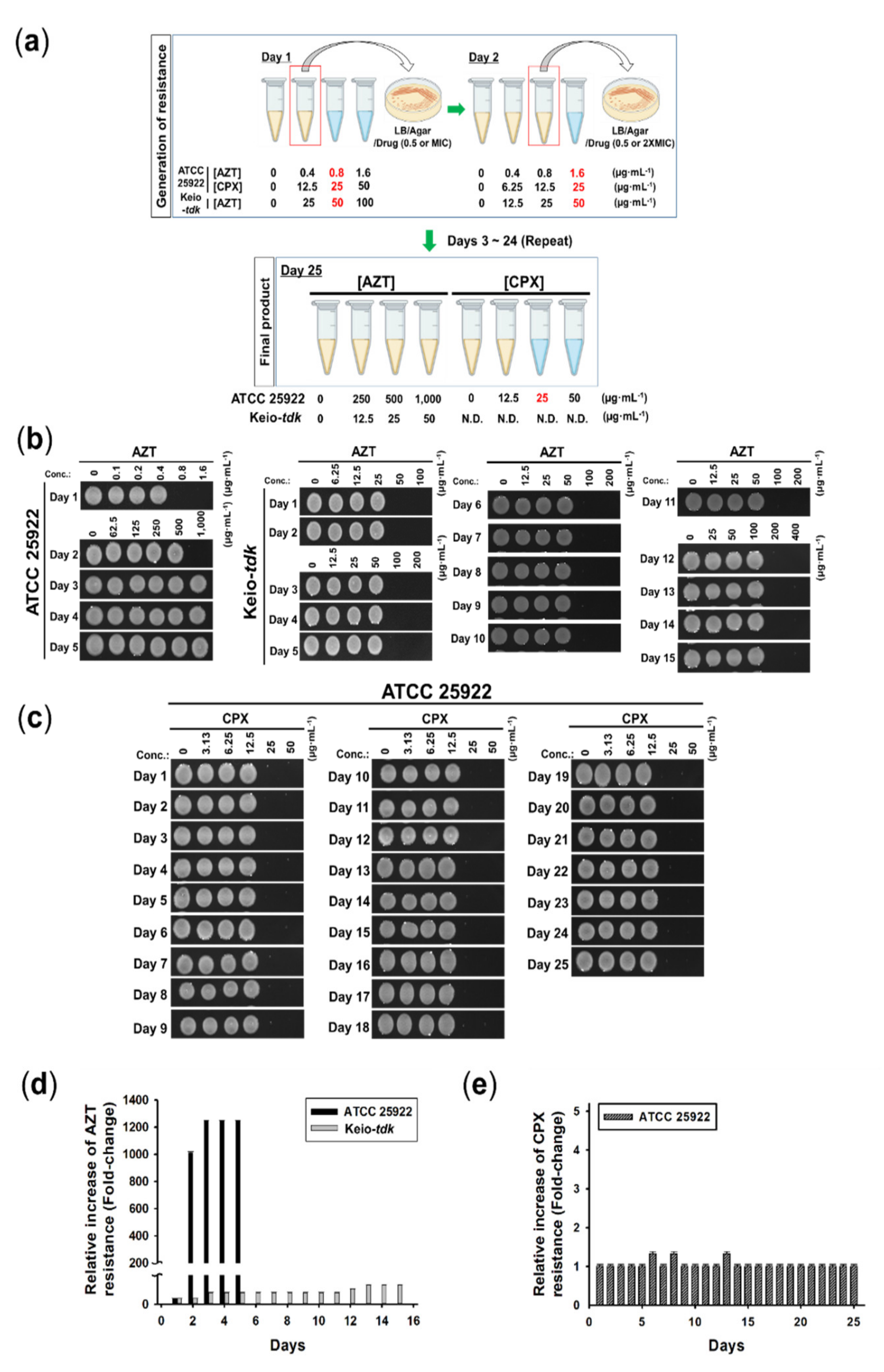 Pharmaceutics 14 00552 g002
