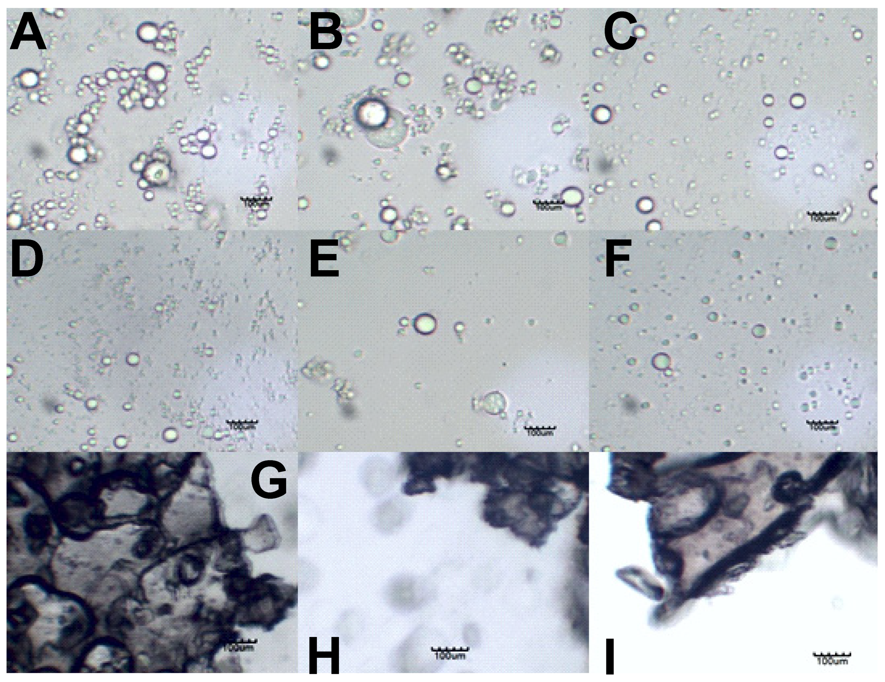 Pharmaceutics 14 00554 g002