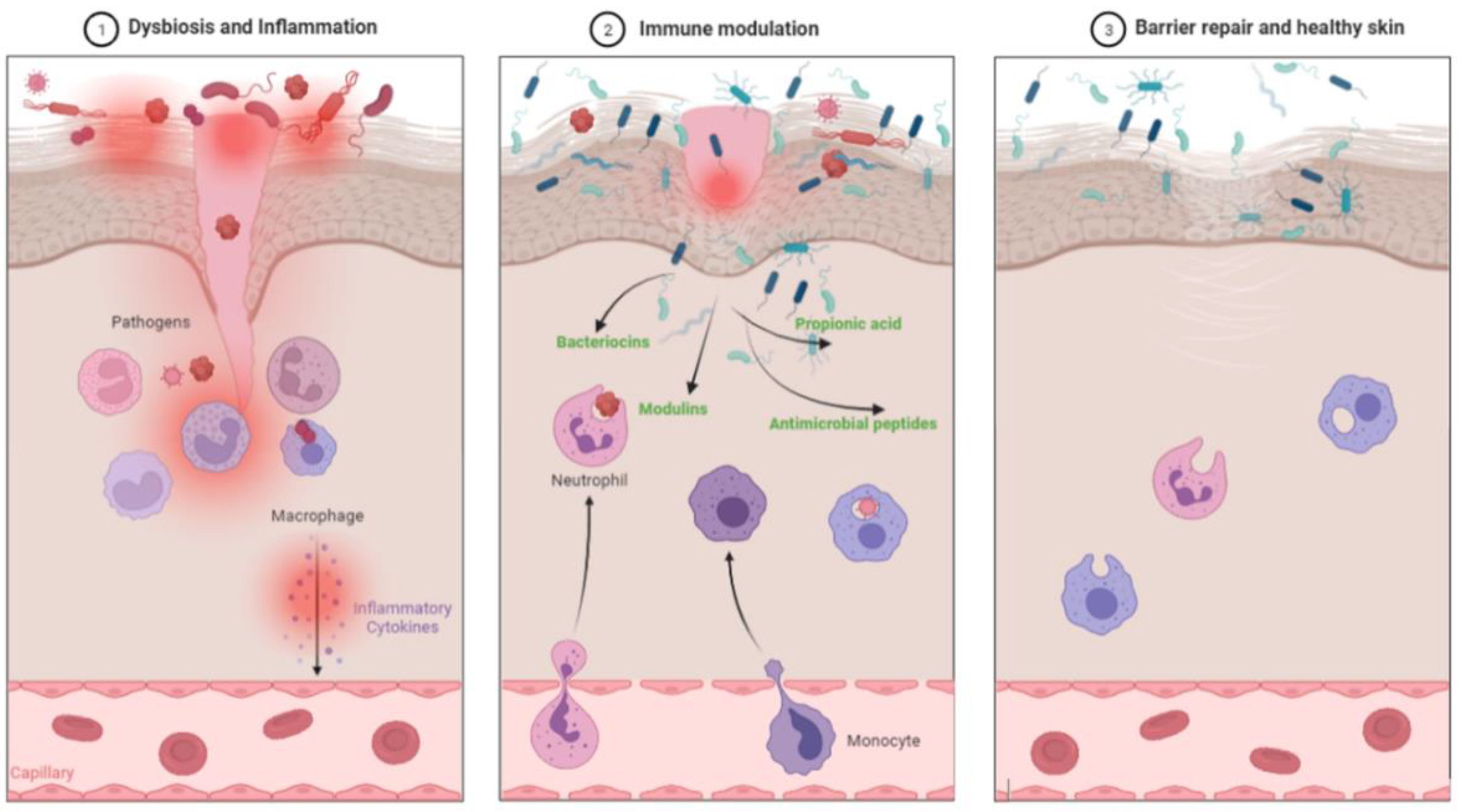 Pharmaceutics 14 00557 g002 550