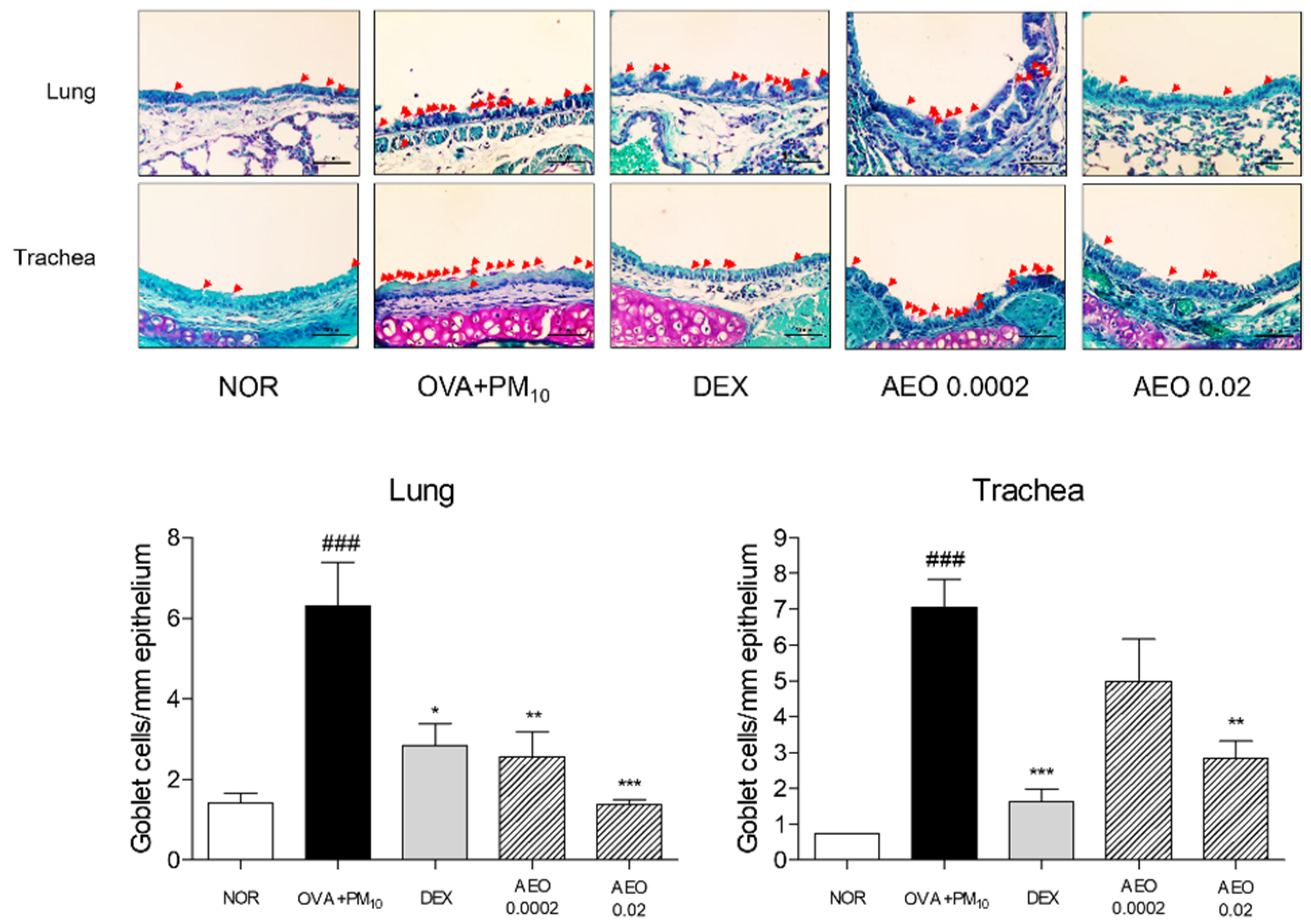 Pharmaceutics 14 00558 g003