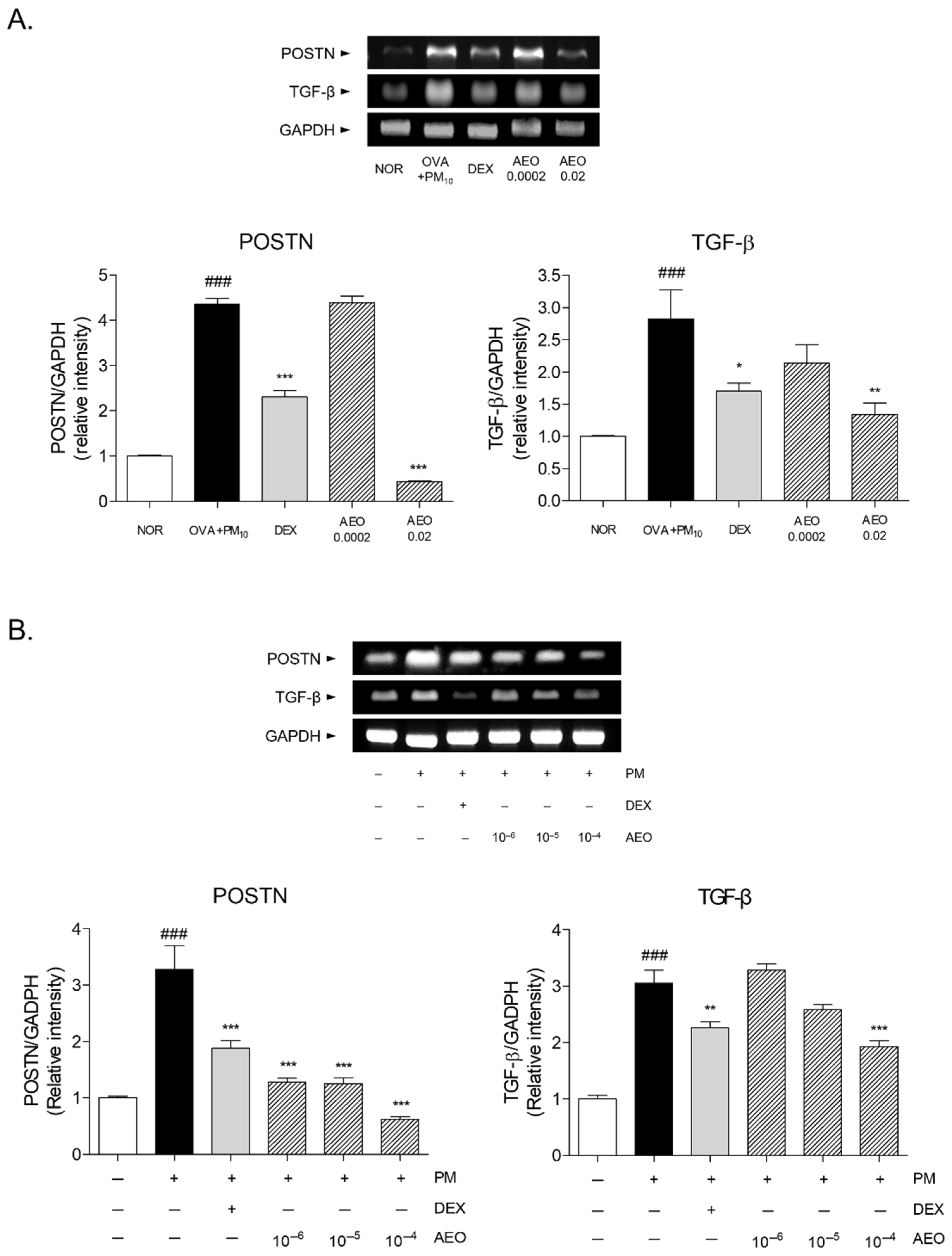 Pharmaceutics 14 00558 g008