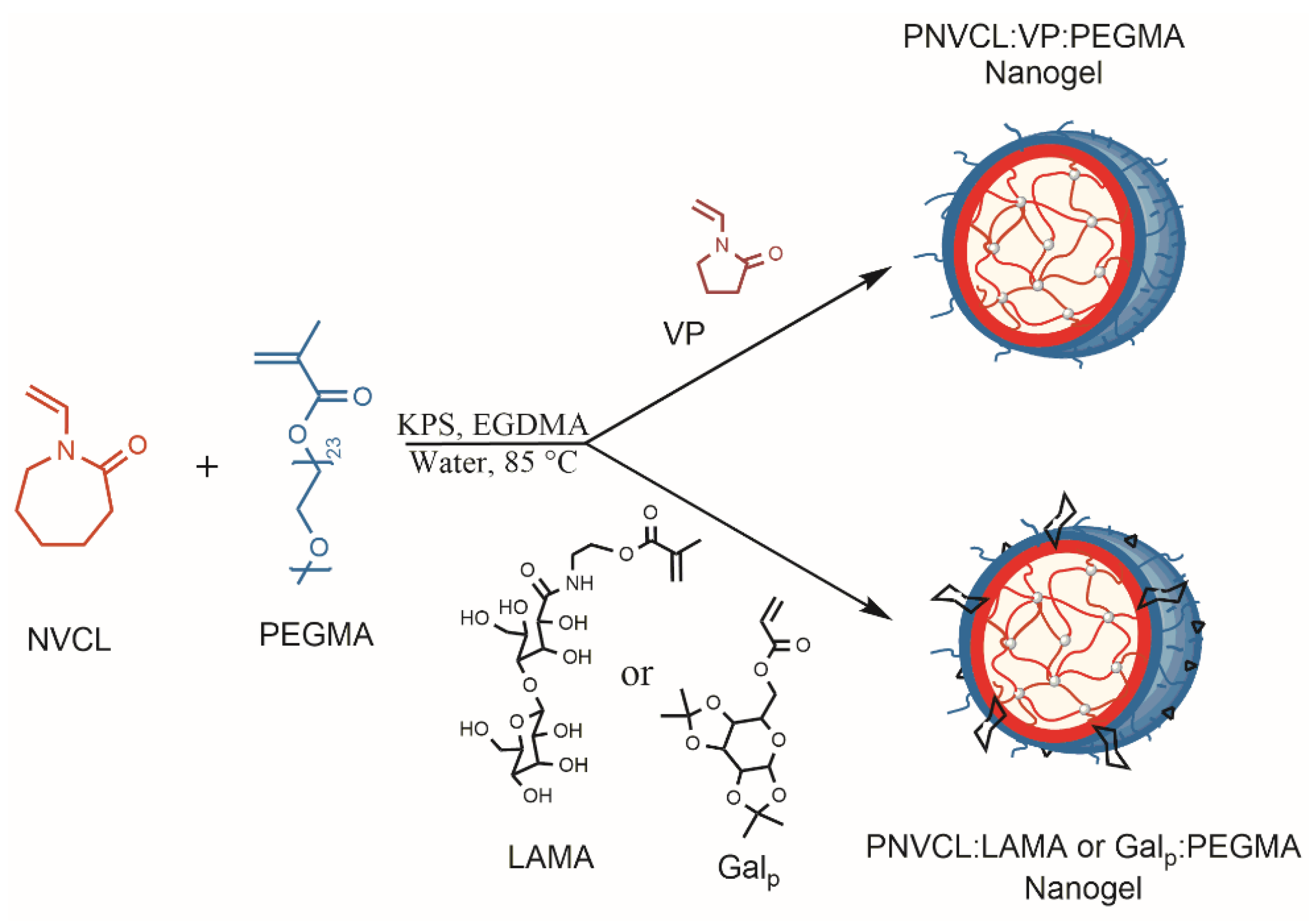Pharmaceutics 14 00560 sch001 550