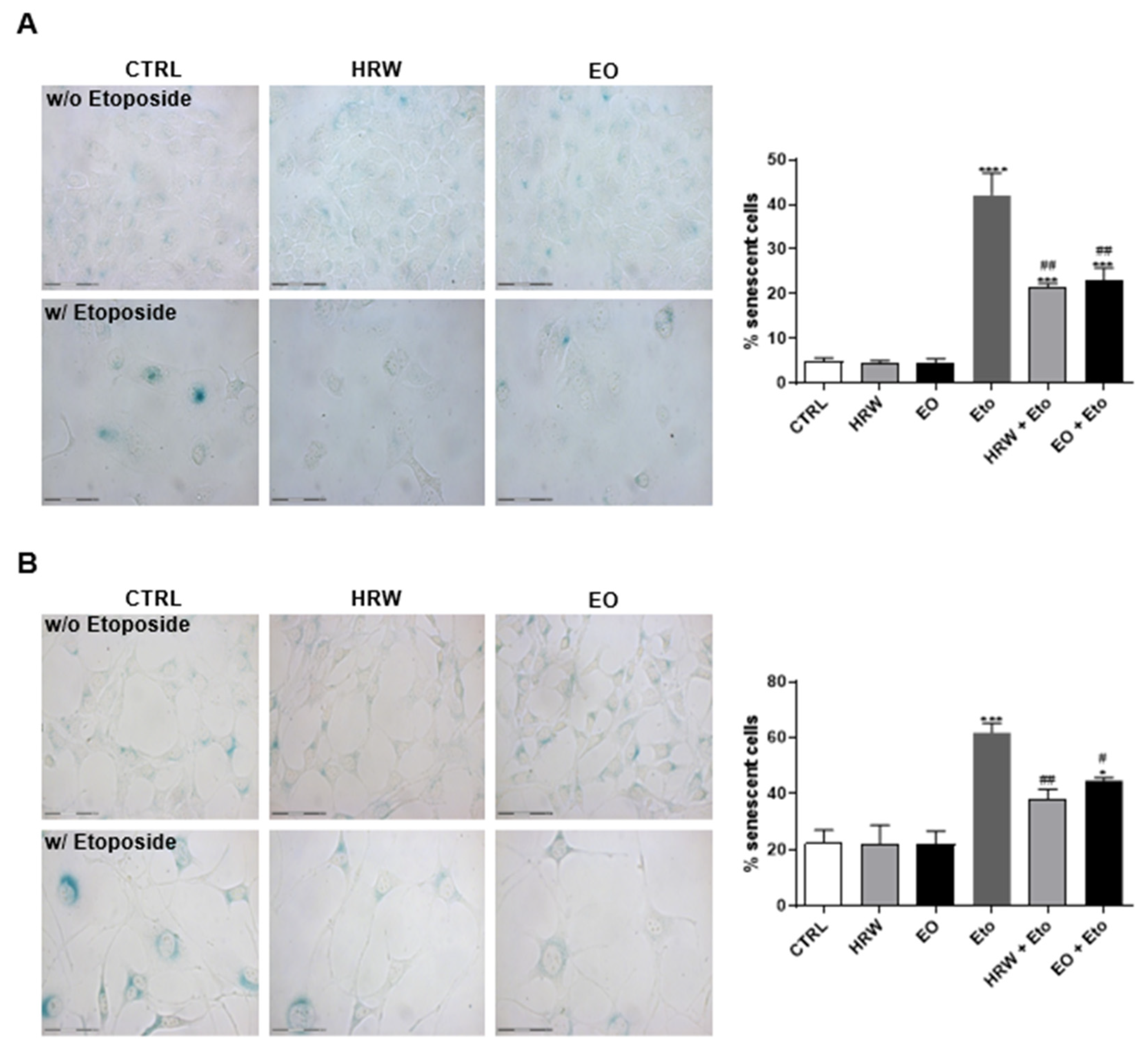 Pharmaceutics 14 00561 g006