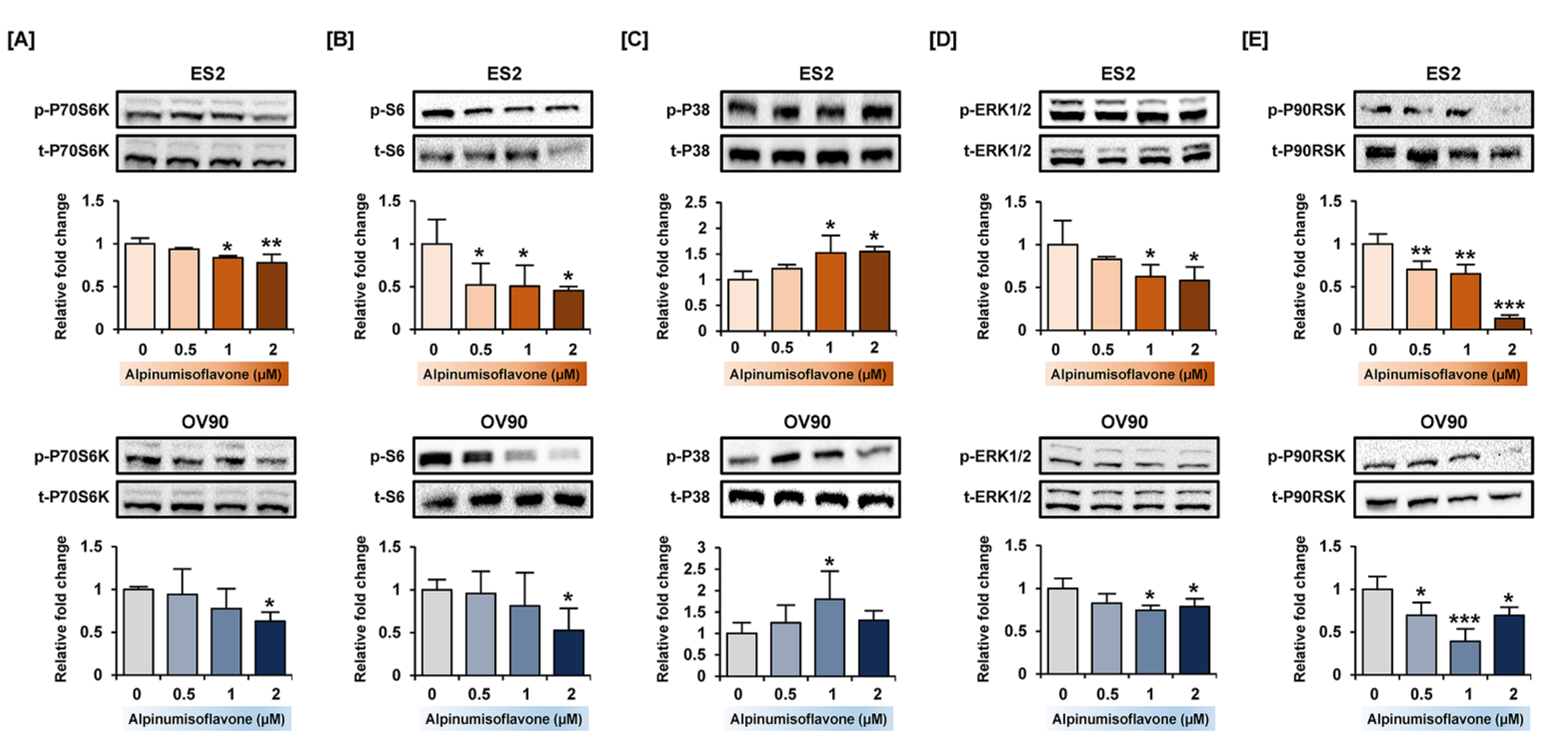 Pharmaceutics 14 00564 g006