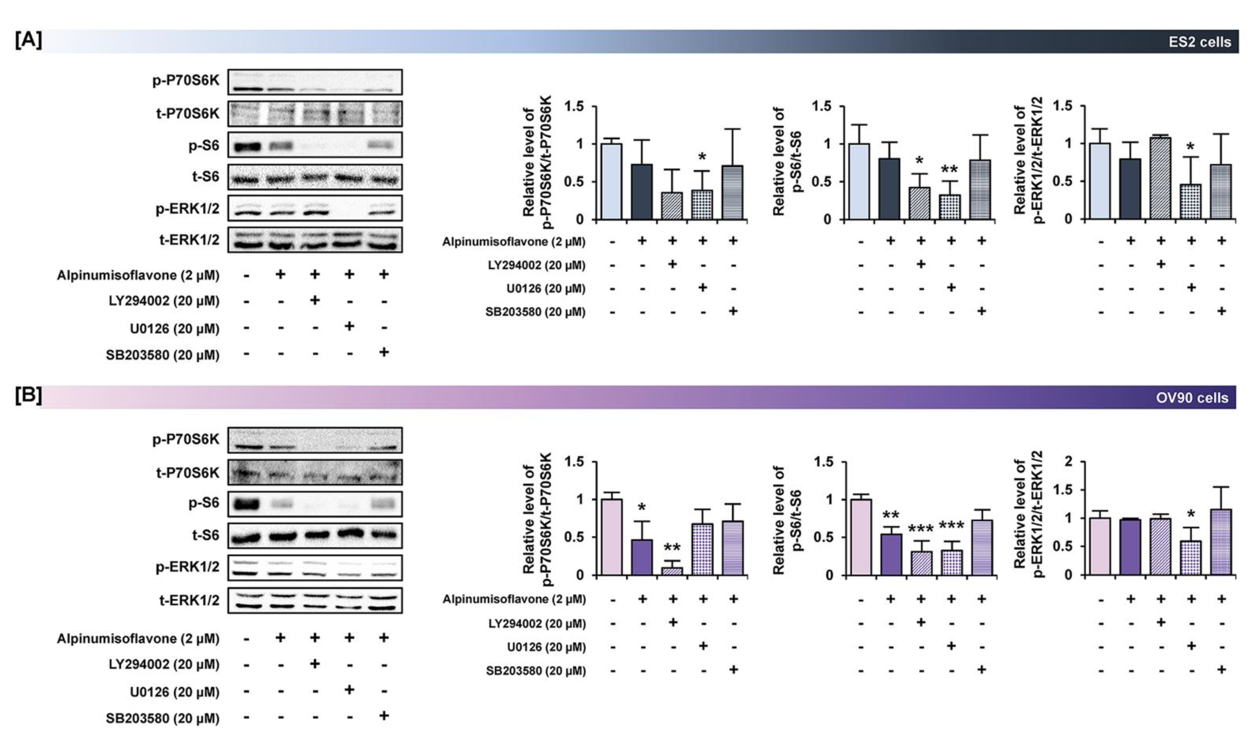 Pharmaceutics 14 00564 g009
