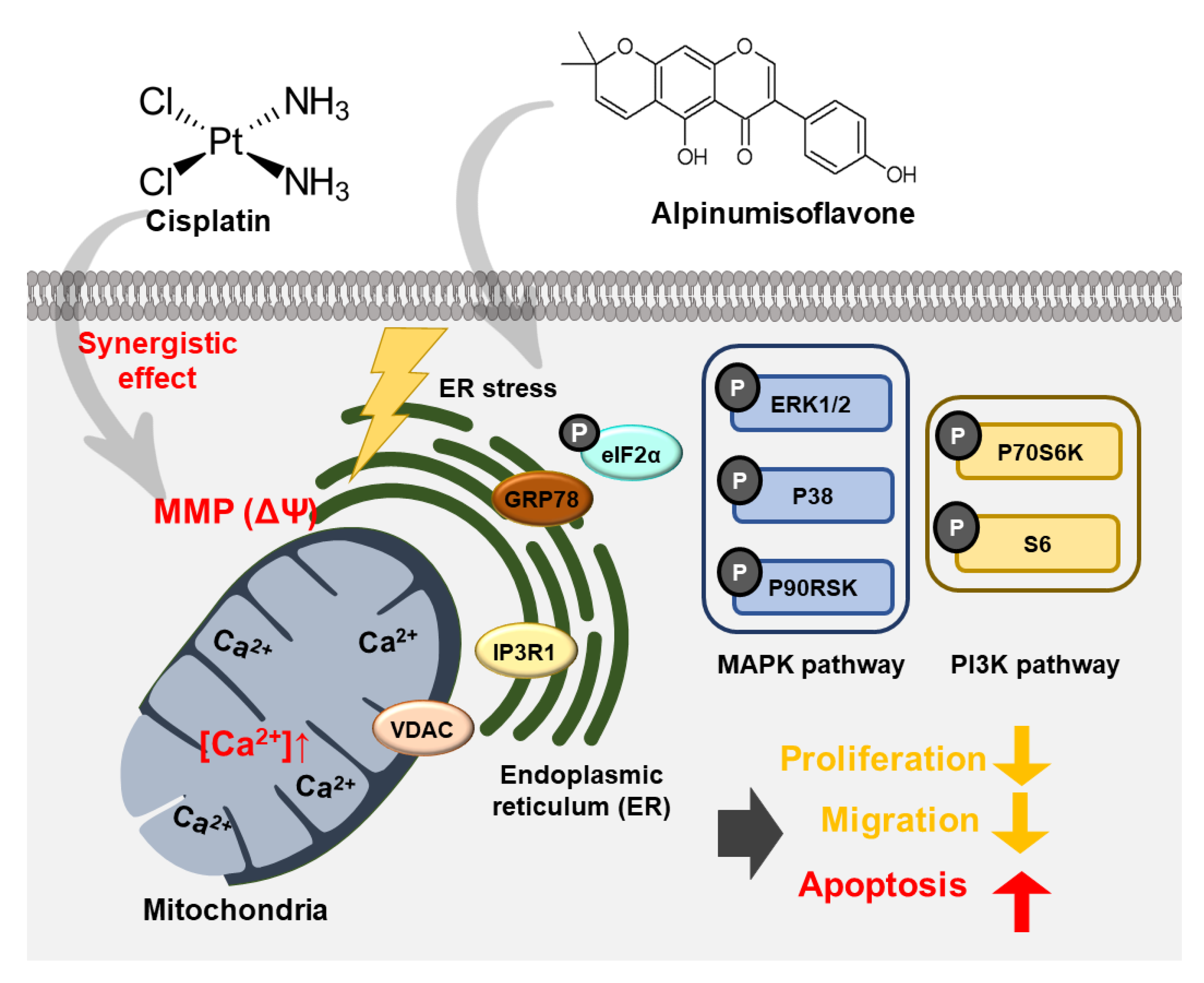 Pharmaceutics 14 00564 g010