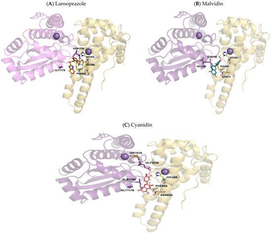 Relationship between Hormonal Modulation and