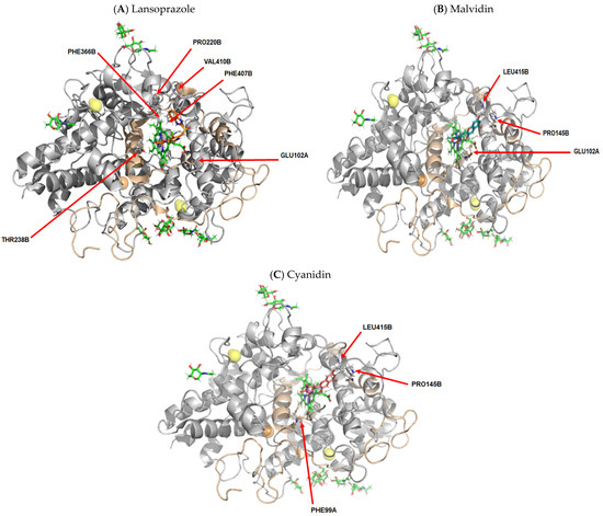 m① Relationship between Hormonal Modulation and