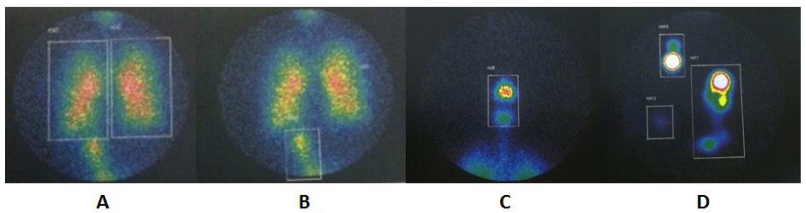 Pharmaceutics 14 00566 g003