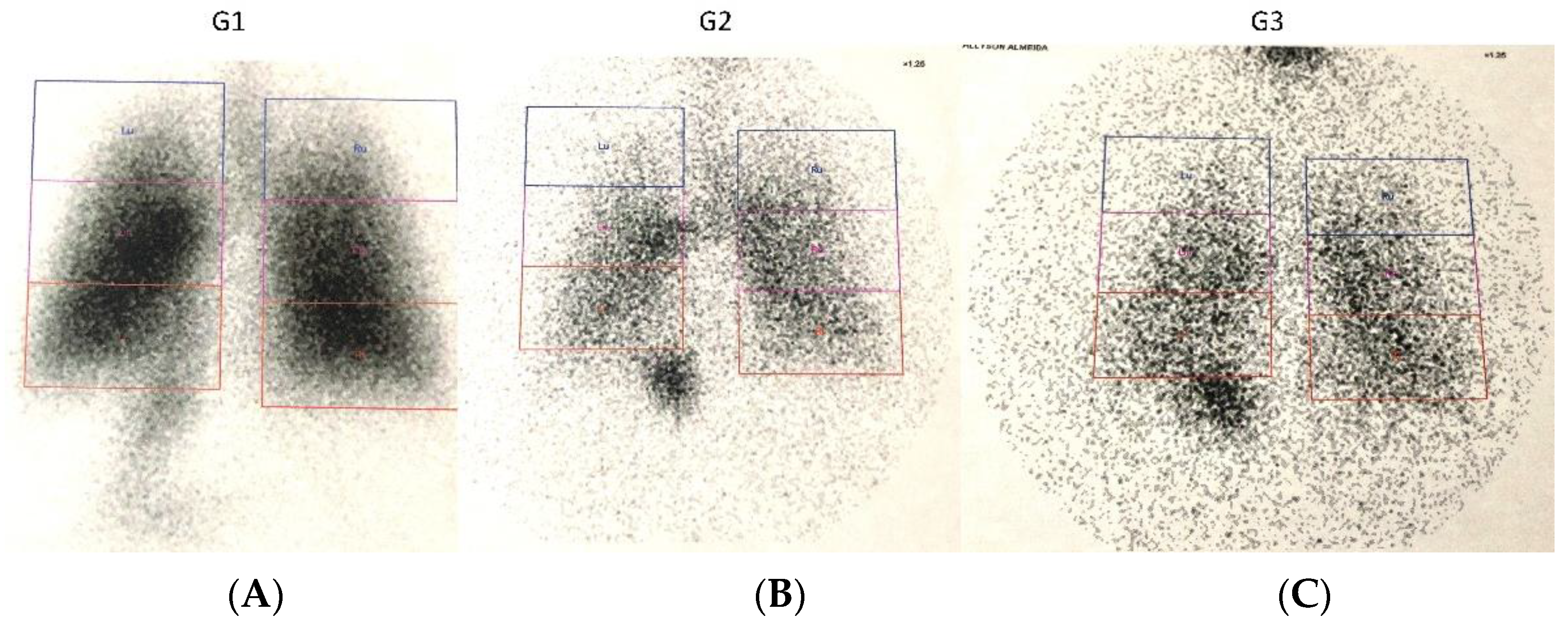 Pharmaceutics 14 00566 g004