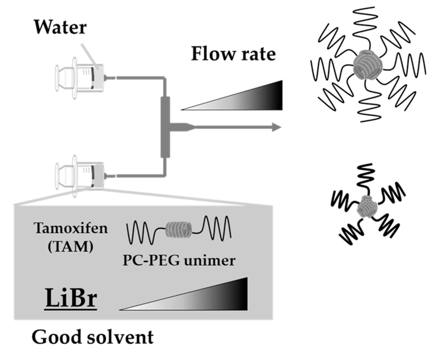 Pharmaceutics 14 00568 g001