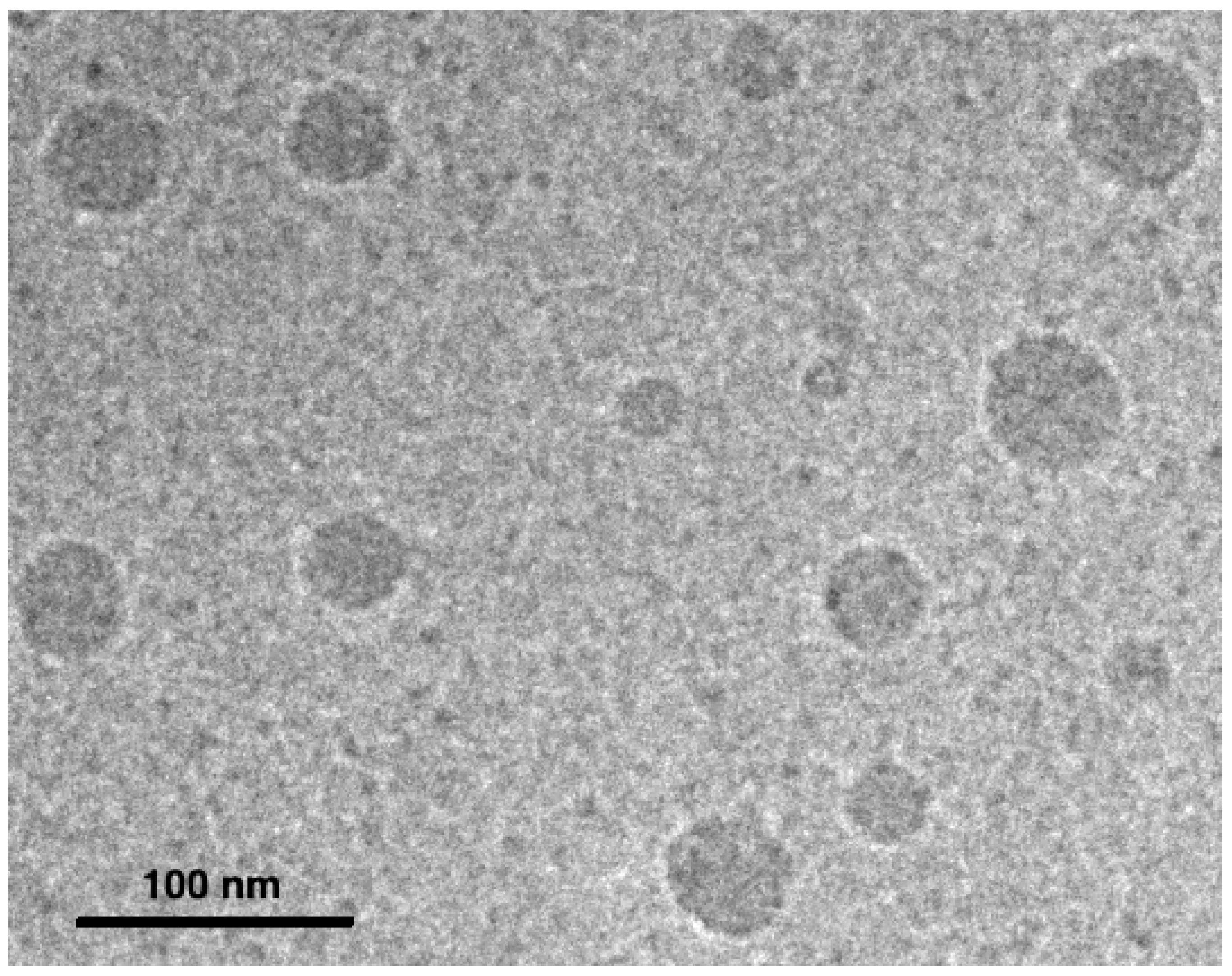 Pharmaceutics 14 00569 g008 Pharmaceutics 14 00569 g008