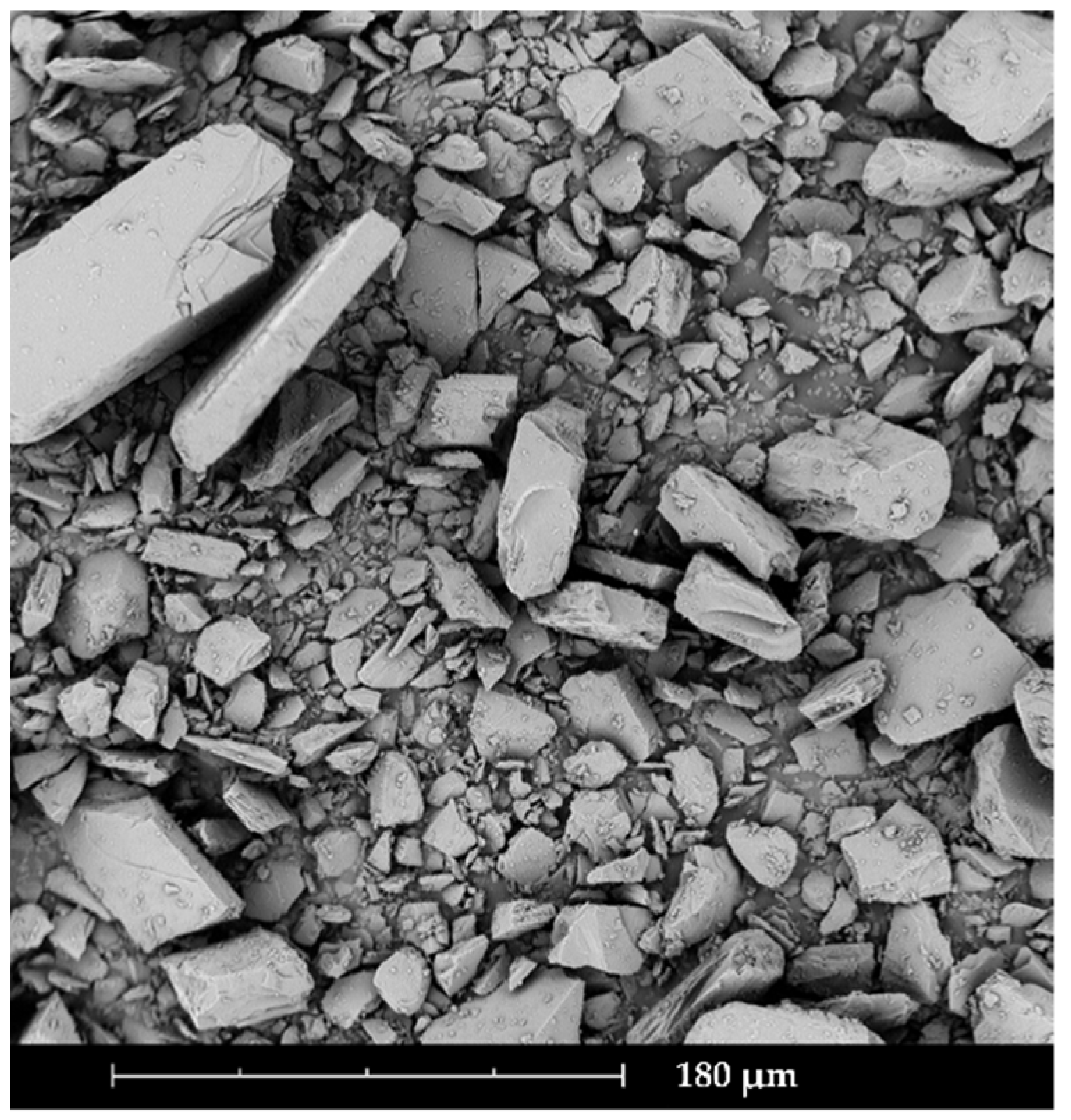 Pharmaceutics 14 00570 g001