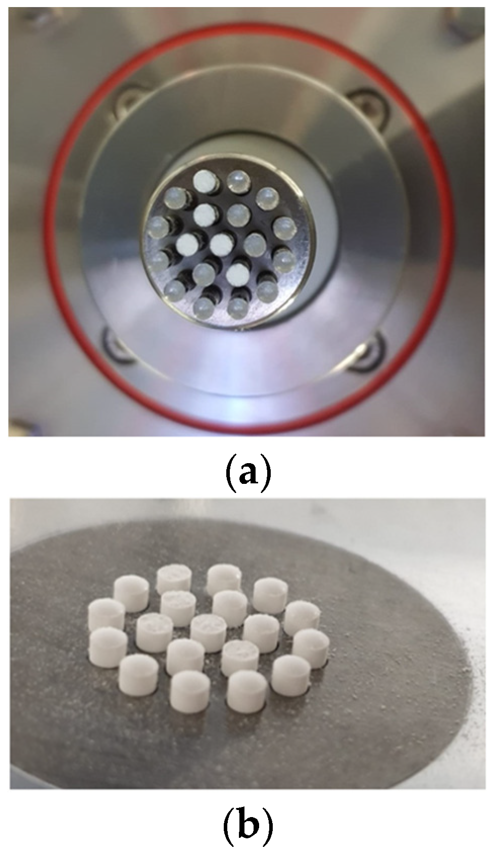 Pharmaceutics 14 00570 g002