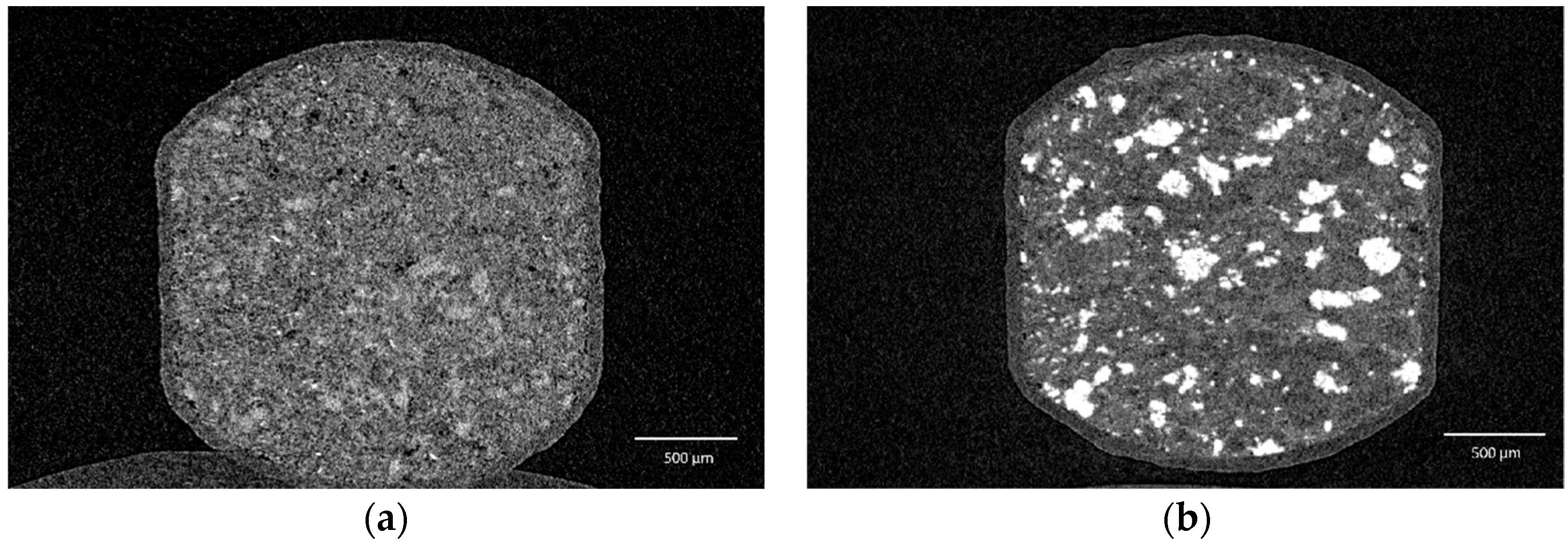 Pharmaceutics 14 00570 g006