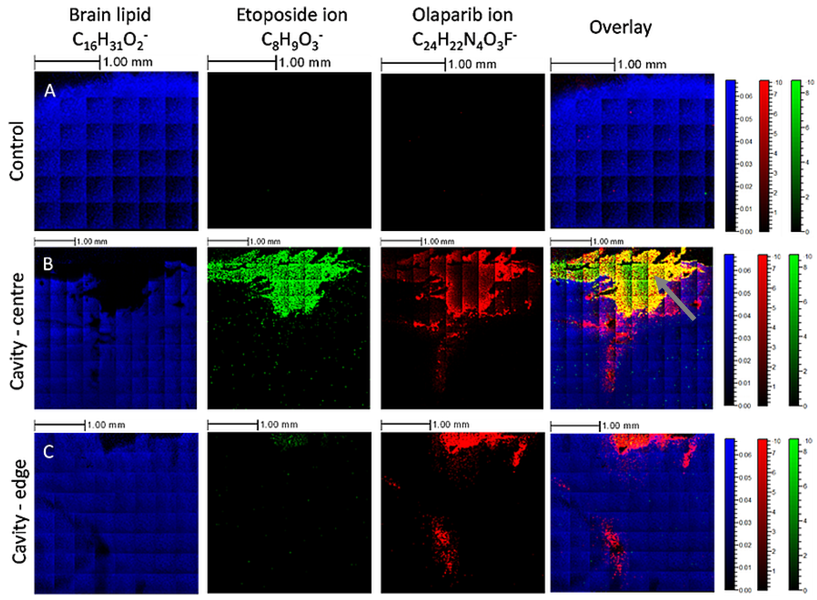 Pharmaceutics 14 00571 g005 Pharmaceutics 14 00571 g005