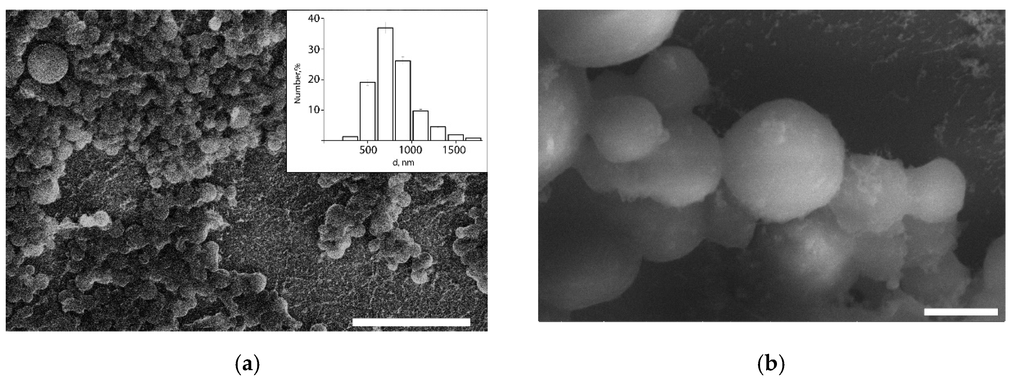 Pharmaceutics 14 00575 g006 550