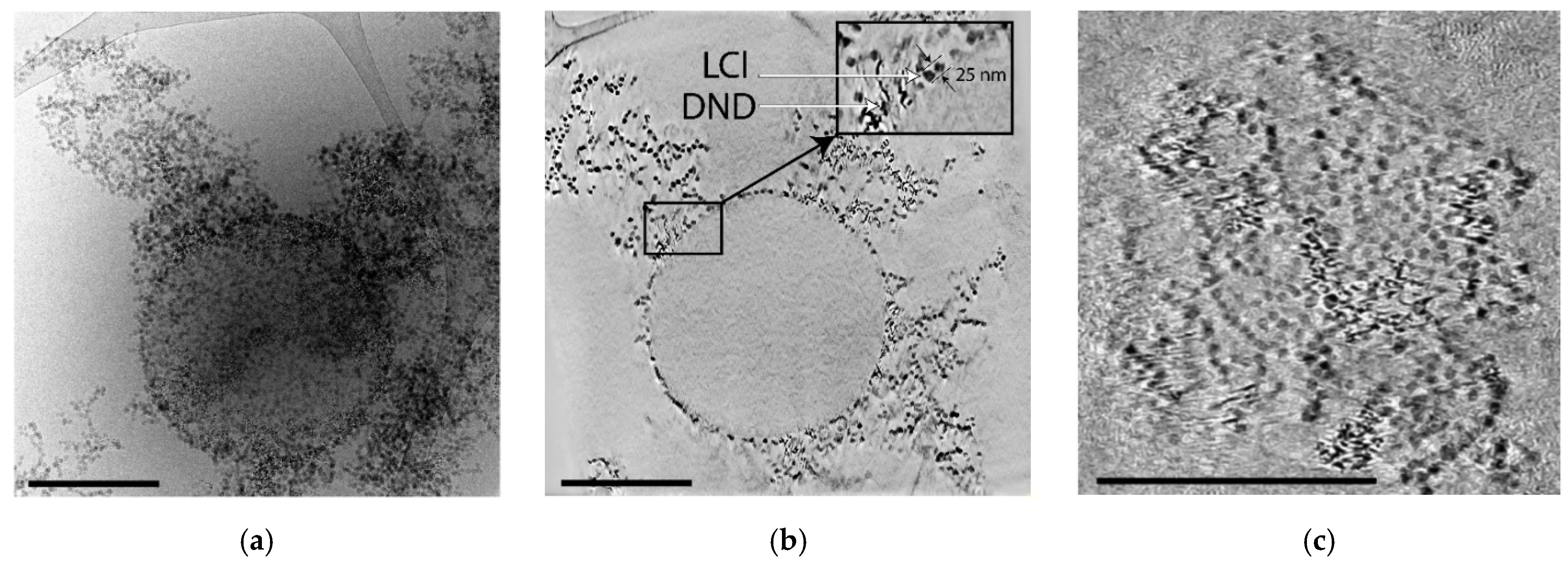 Pharmaceutics 14 00575 g009 550