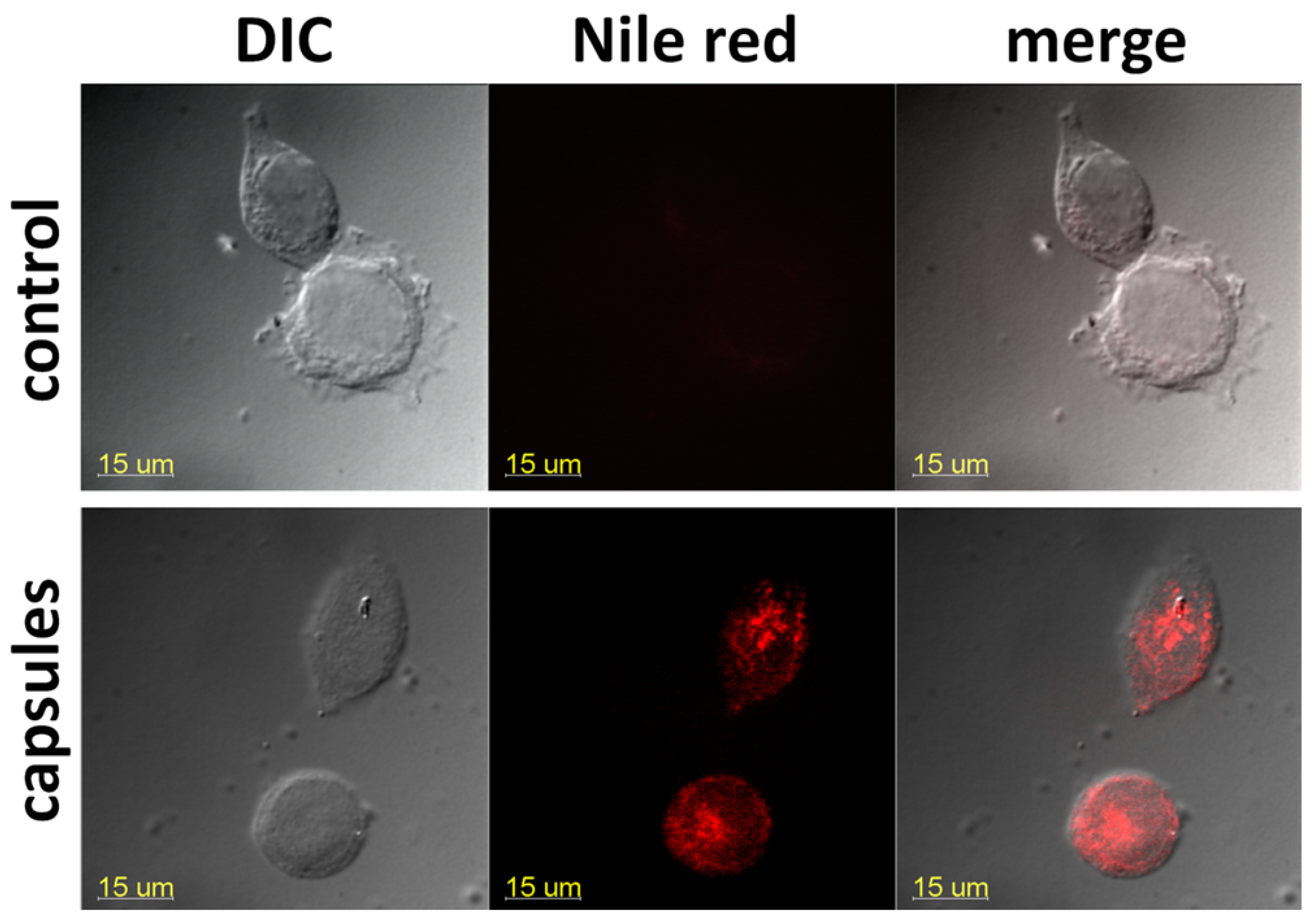 Pharmaceutics 14 00575 g013 550
