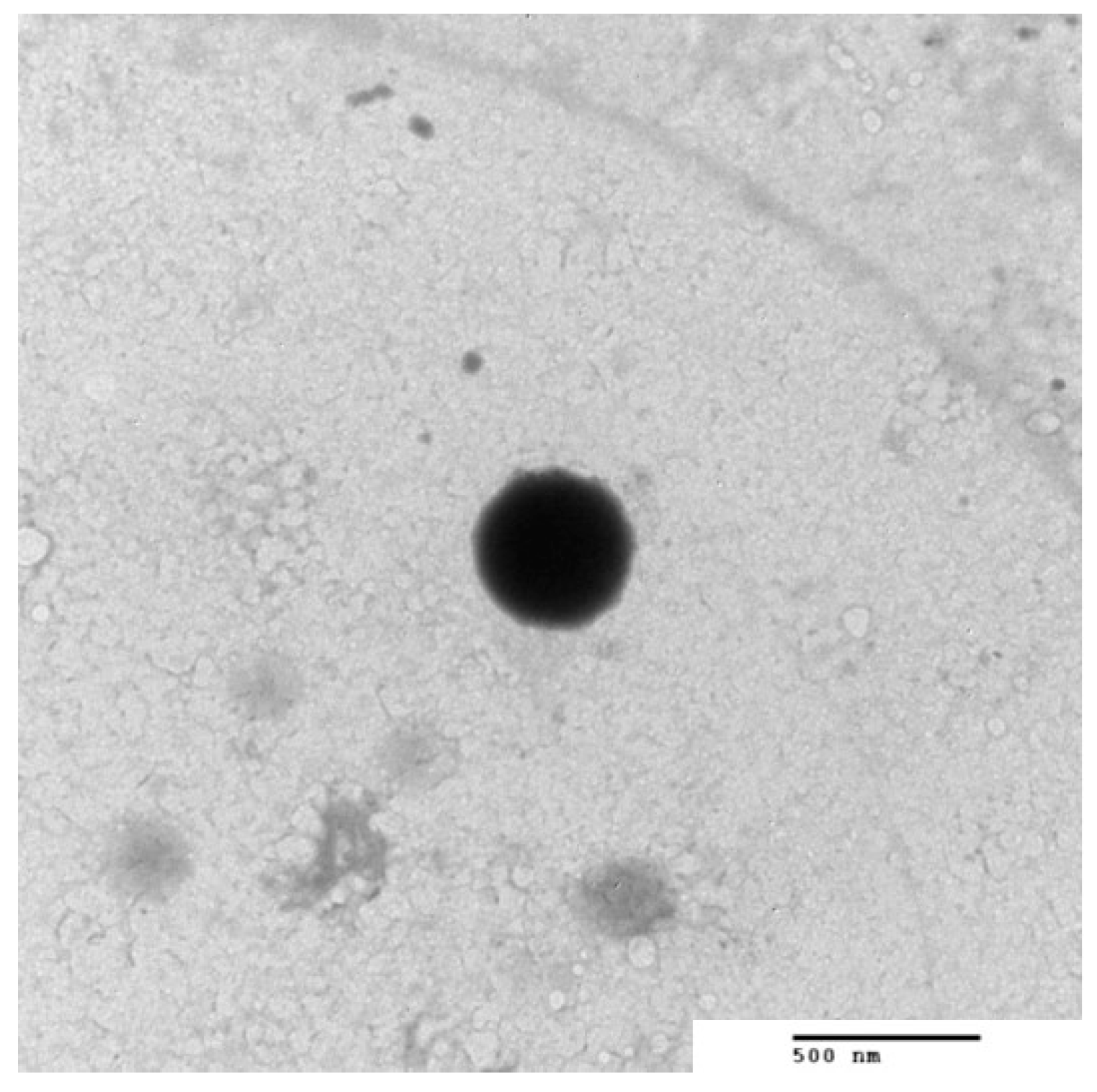 Pharmaceutics 14 00576 g006 550