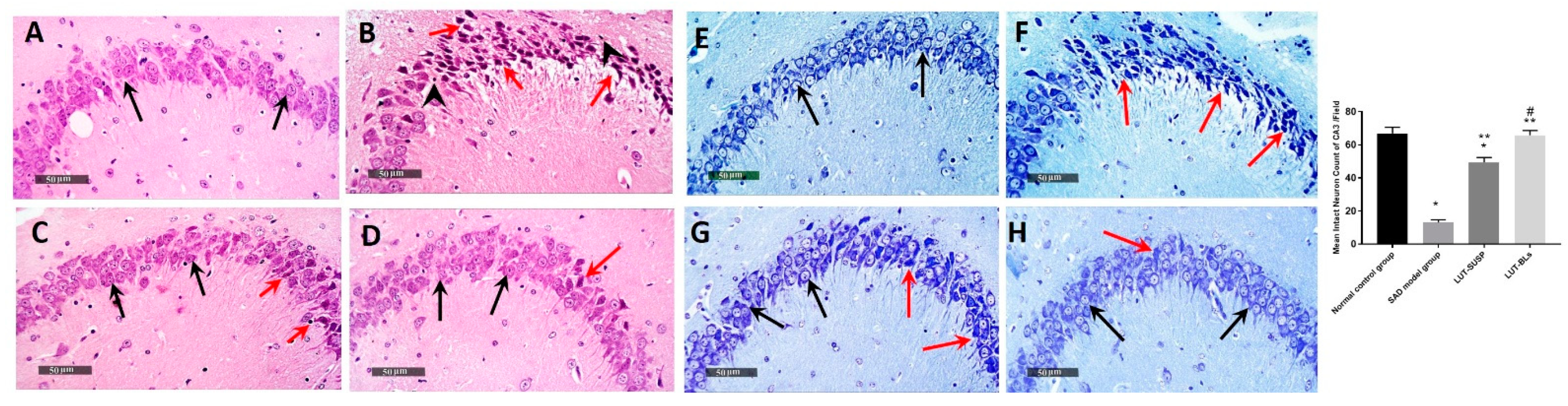 Pharmaceutics 14 00576 g009 550