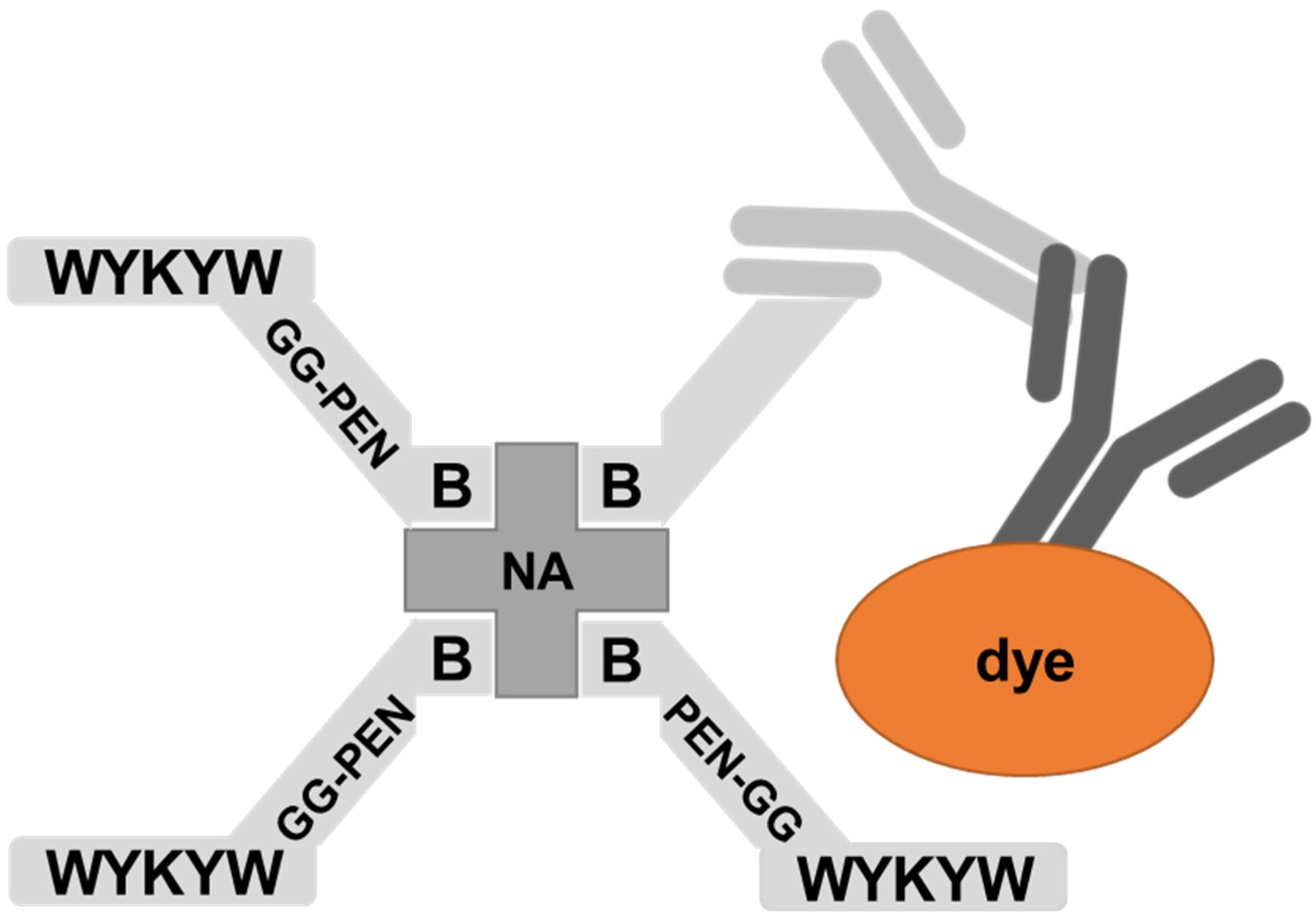 Pharmaceutics 14 00580 g004 550