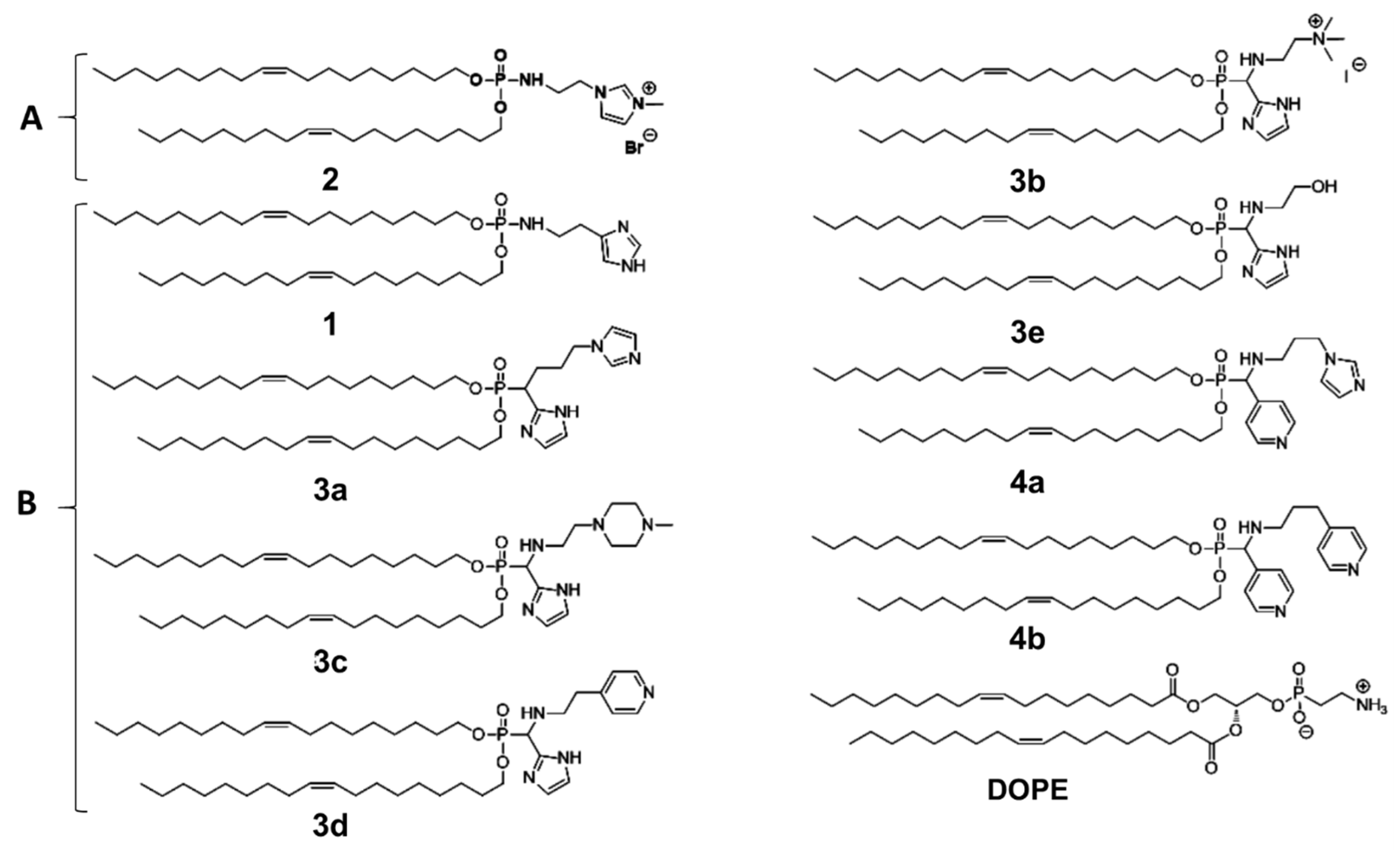 Pharmaceutics 14 00581 g001 550