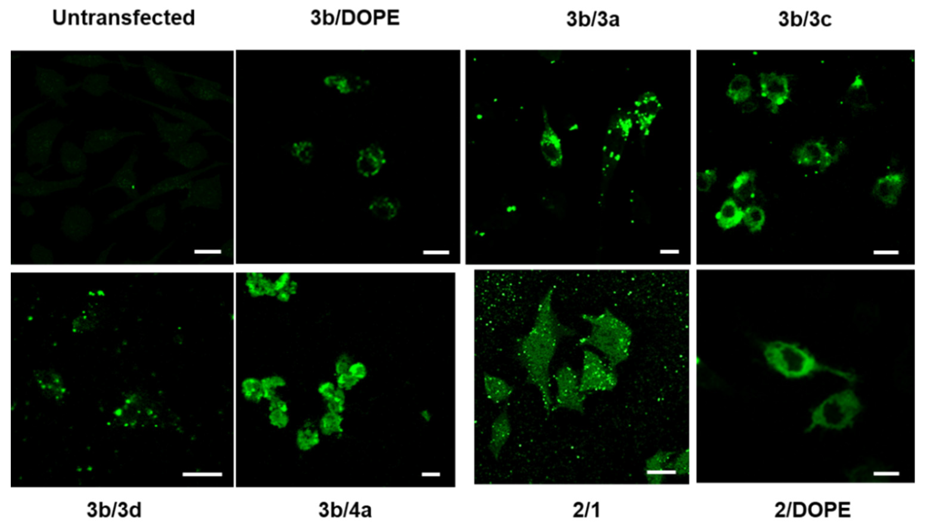 Pharmaceutics 14 00581 g004 550
