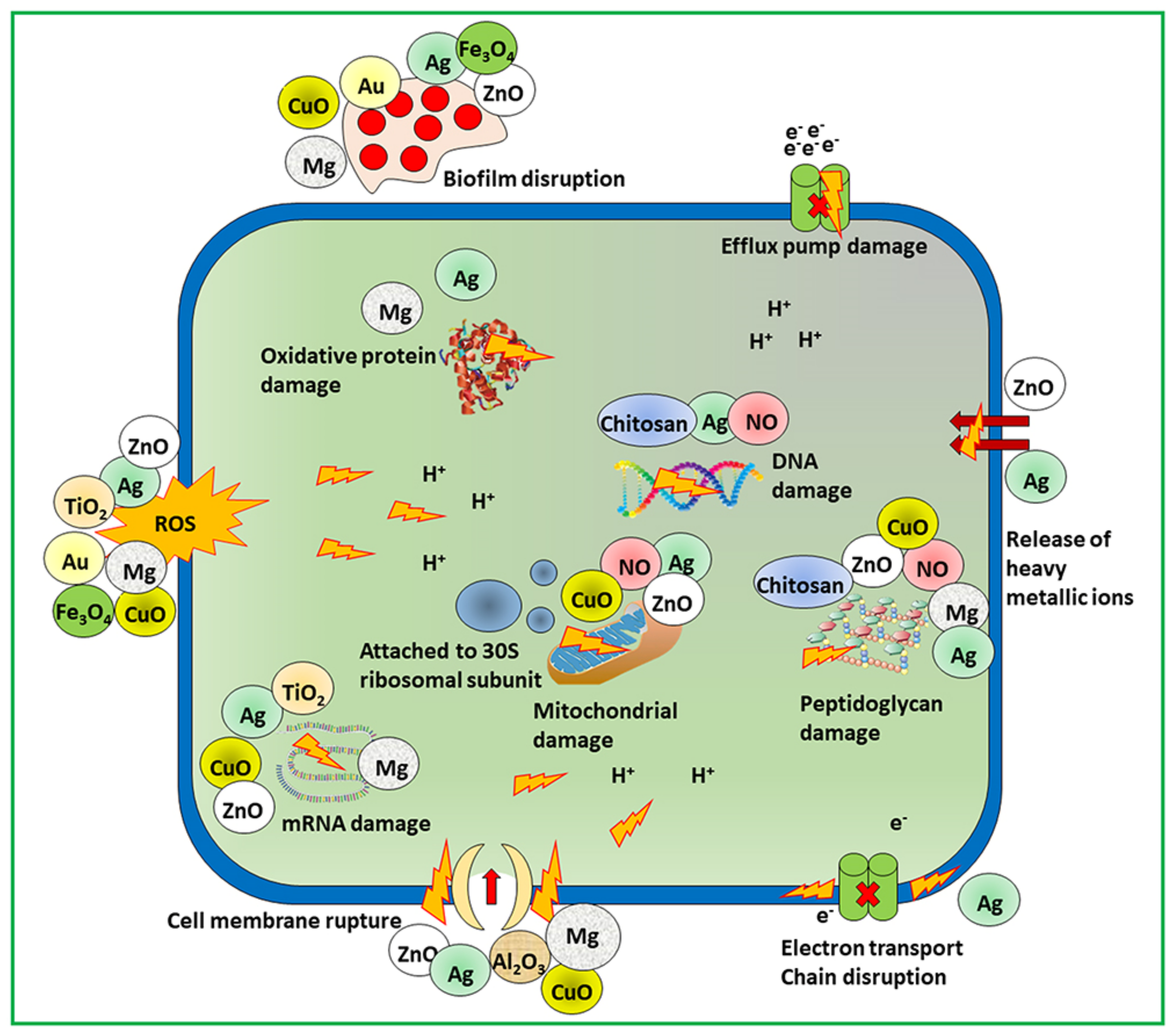 Pharmaceutics 14 00582 g002 550