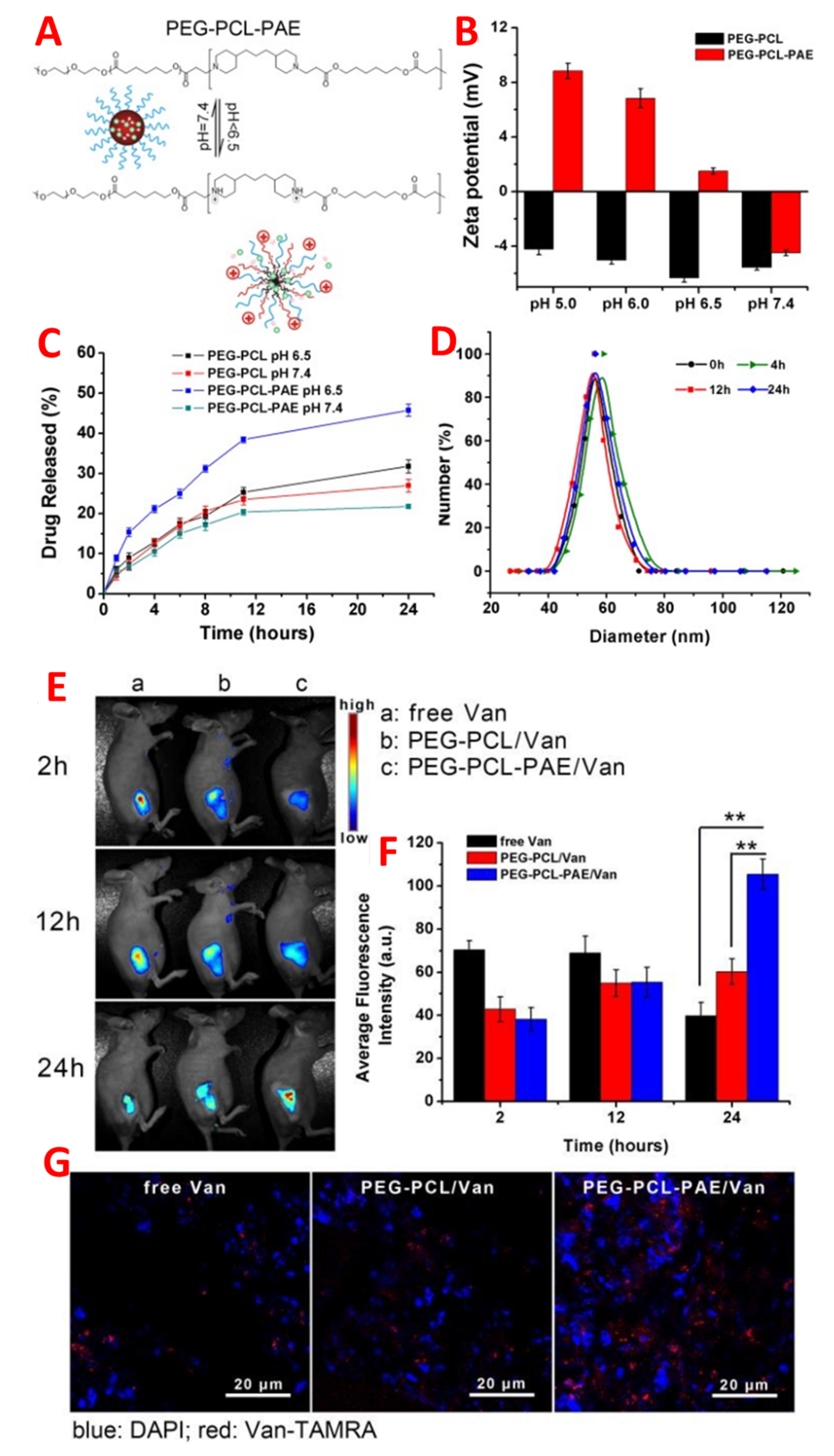Pharmaceutics 14 00582 g006 550