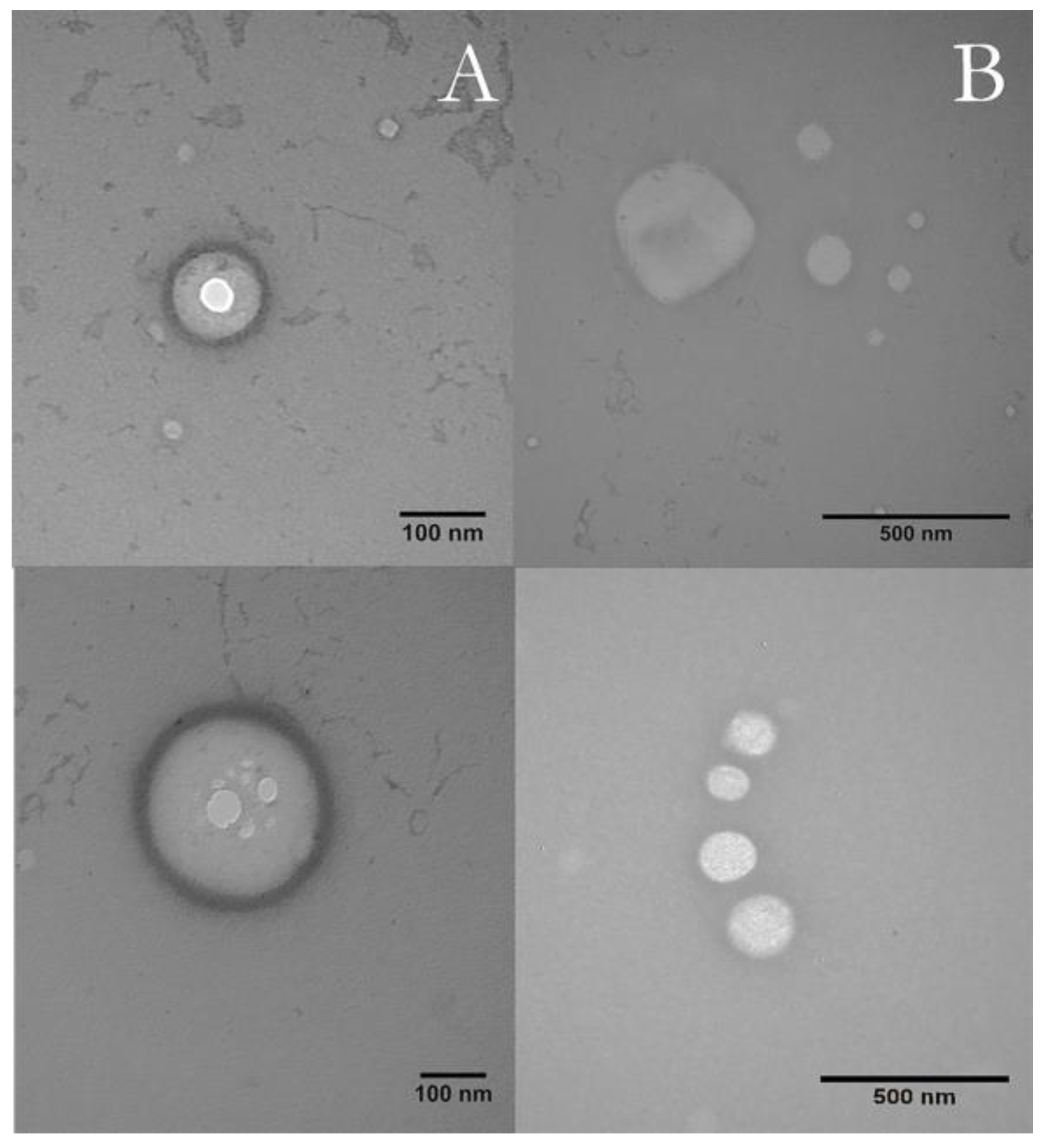 Pharmaceutics 14 00583 g002 550