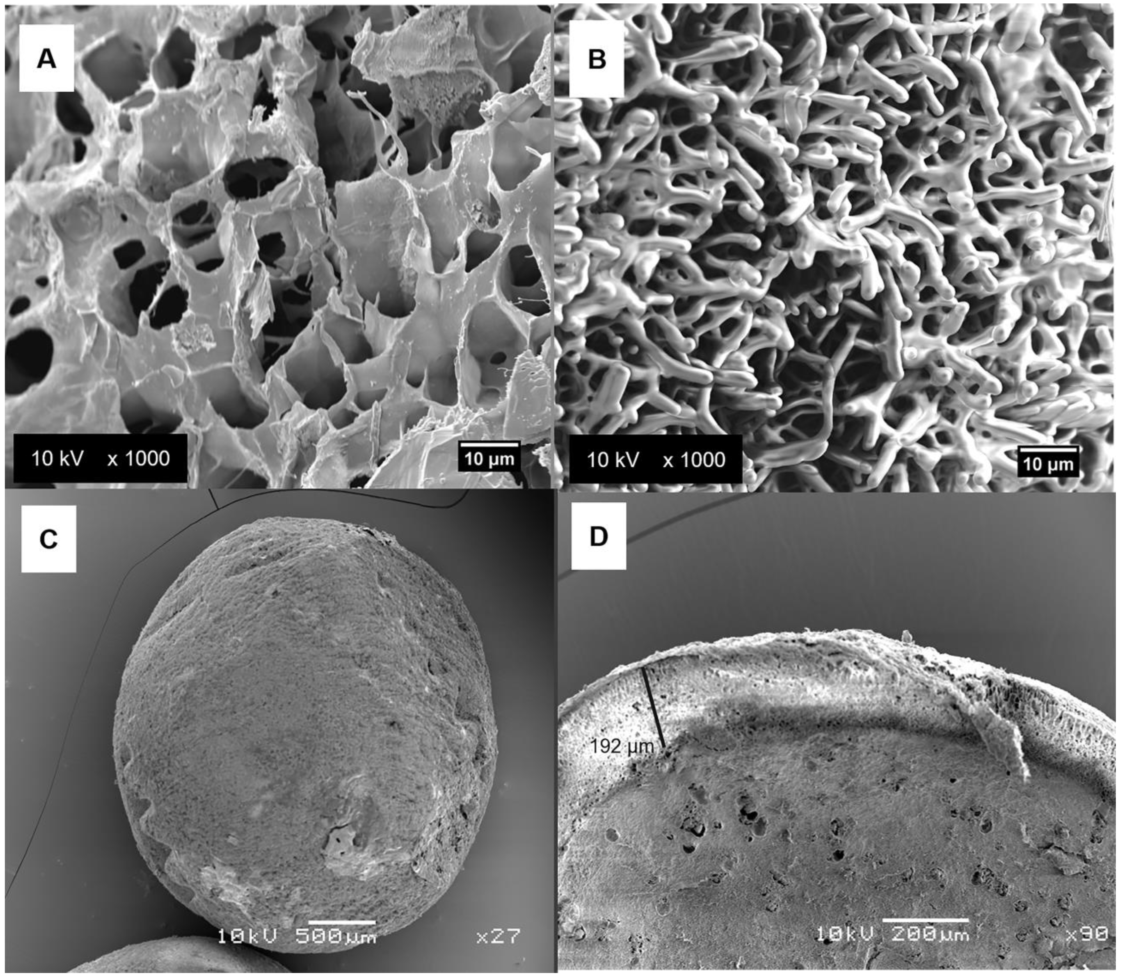 Pharmaceutics 14 00583 g005 550