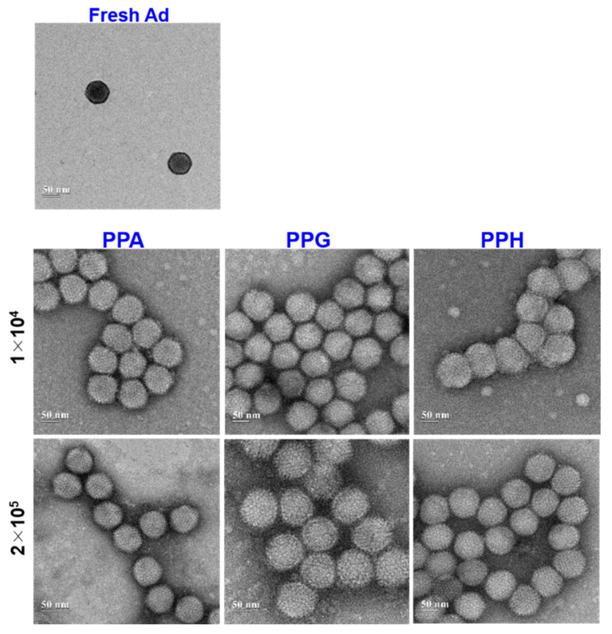 Pharmaceutics 14 00597 g007