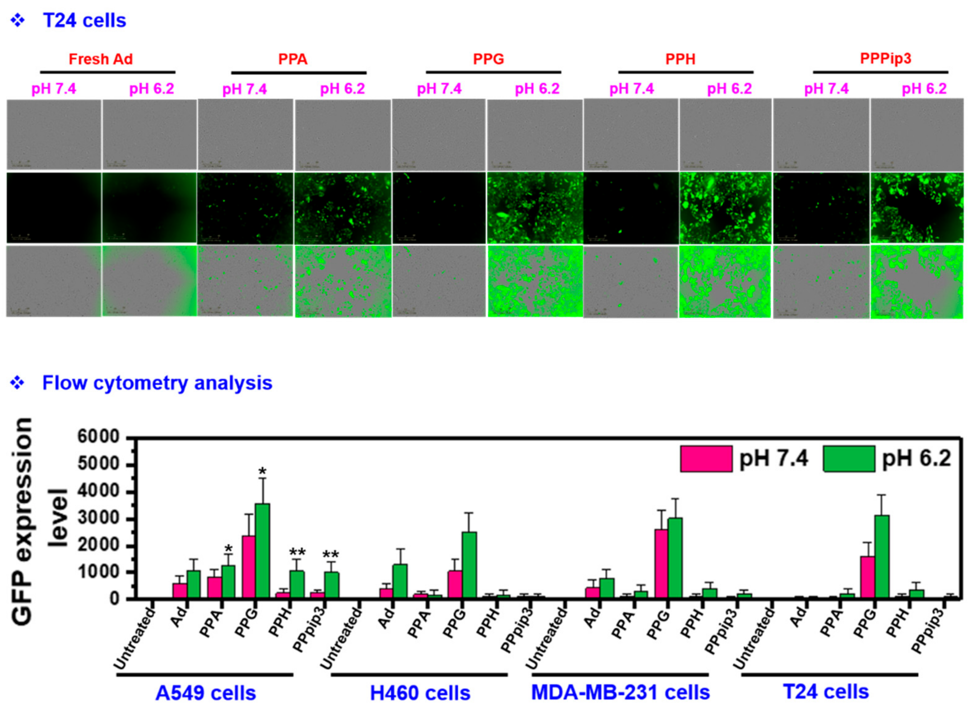 Pharmaceutics 14 00597 g010b