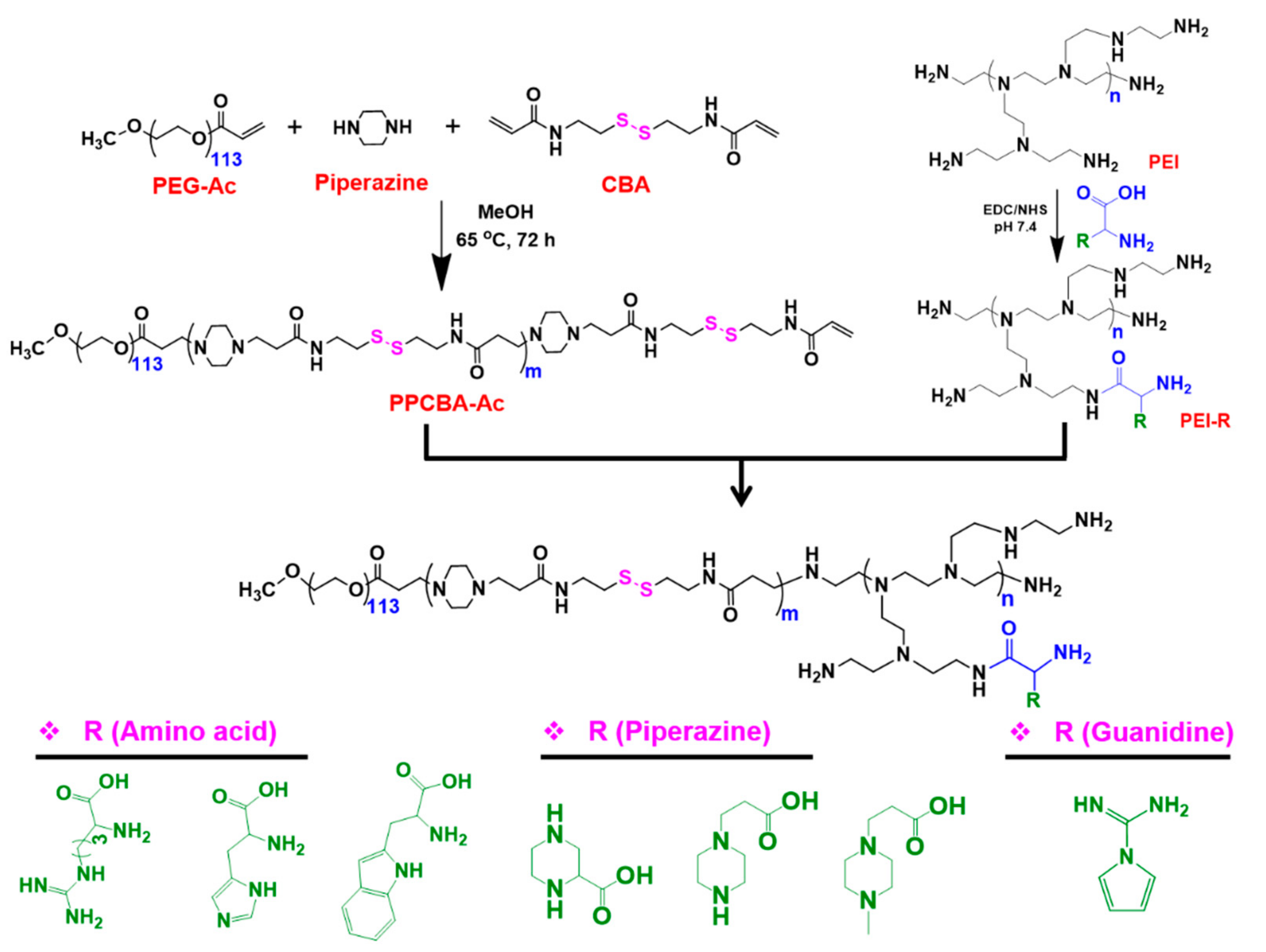 Pharmaceutics 14 00597 sch001