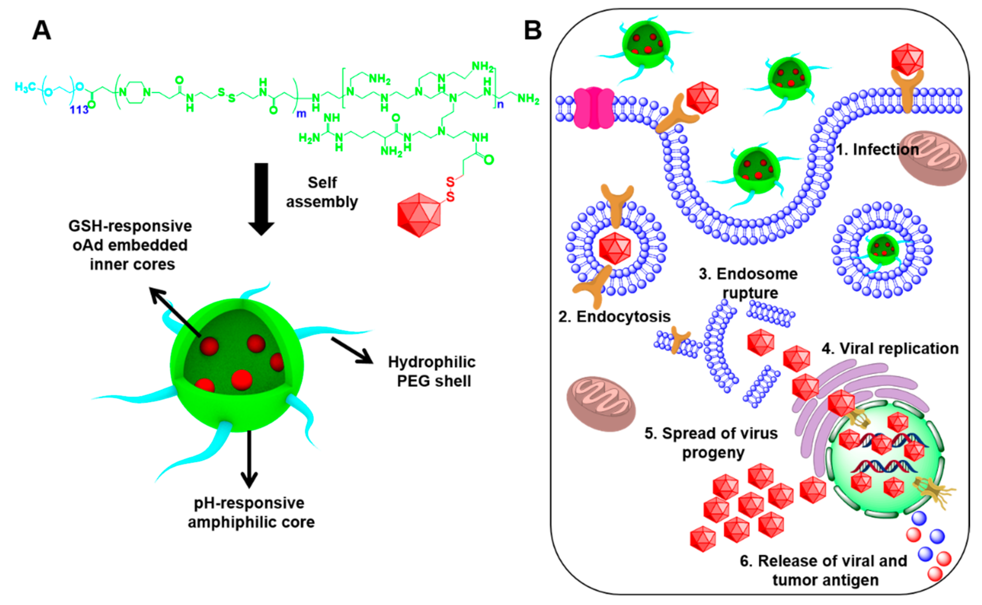 Pharmaceutics 14 00597 sch002