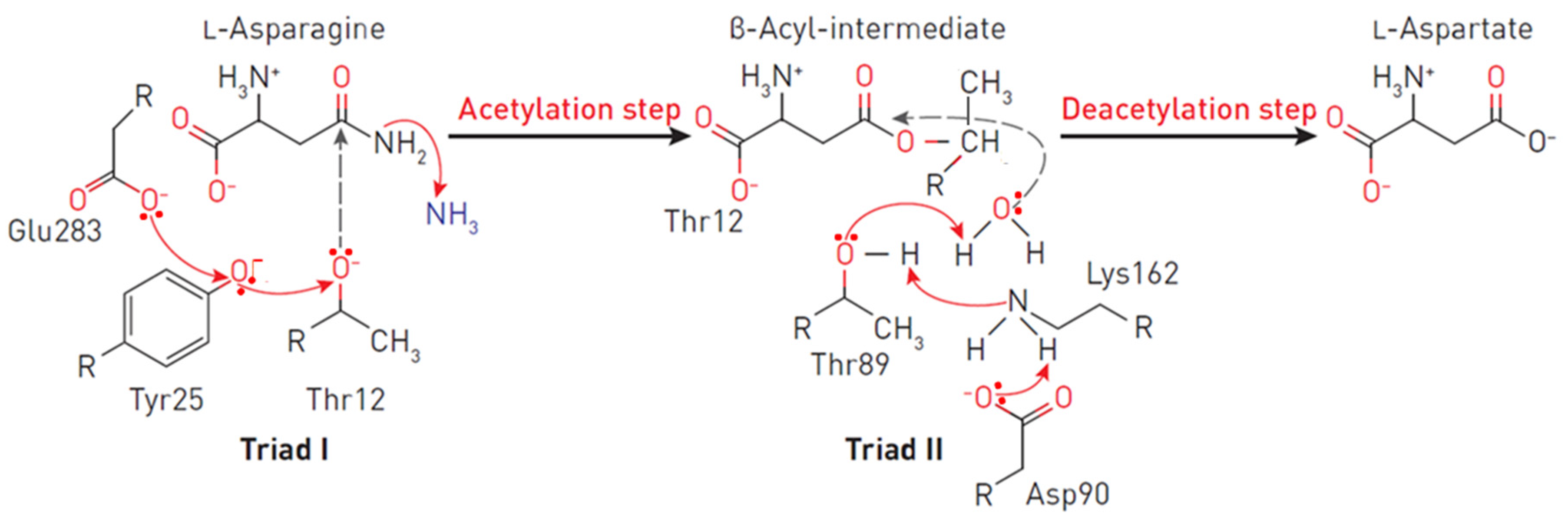 Pharmaceutics 14 00599 g002