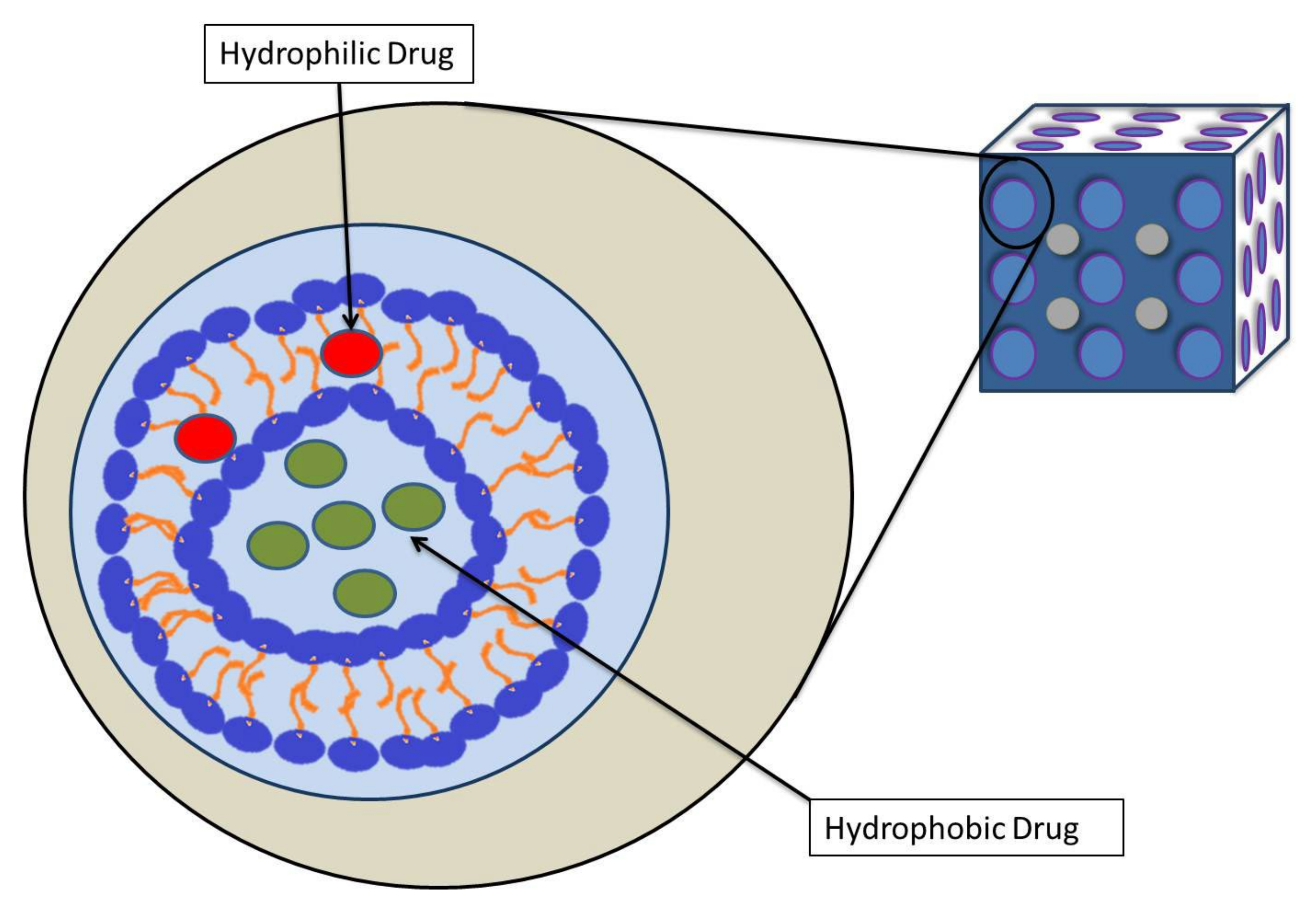 Pharmaceutics 14 00600 g002 550