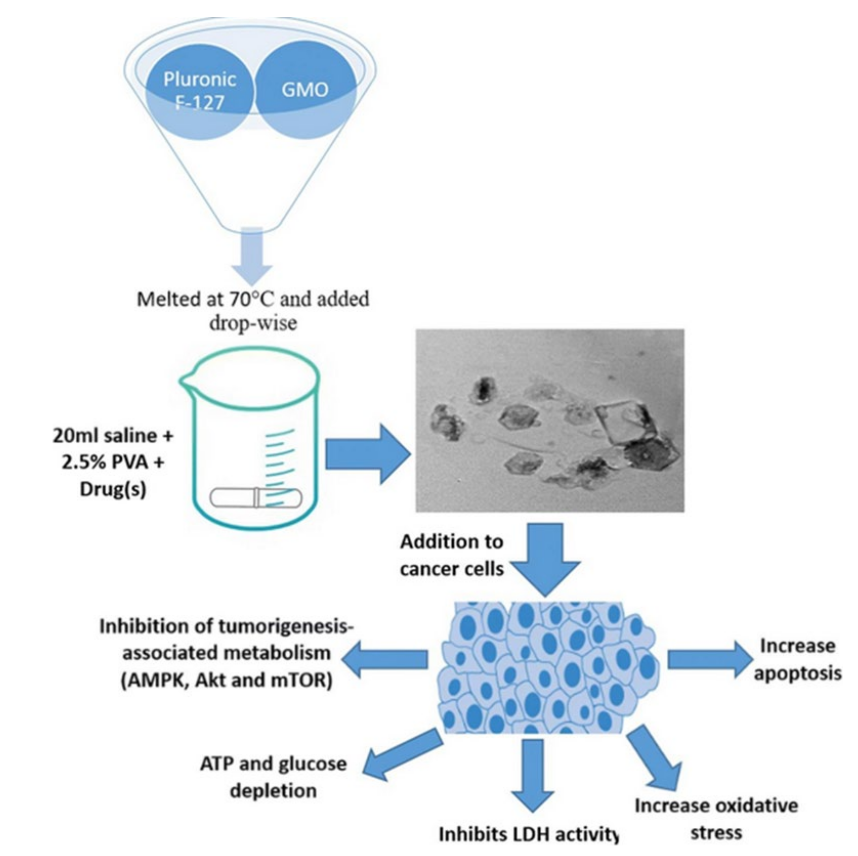 Pharmaceutics 14 00600 g004 550