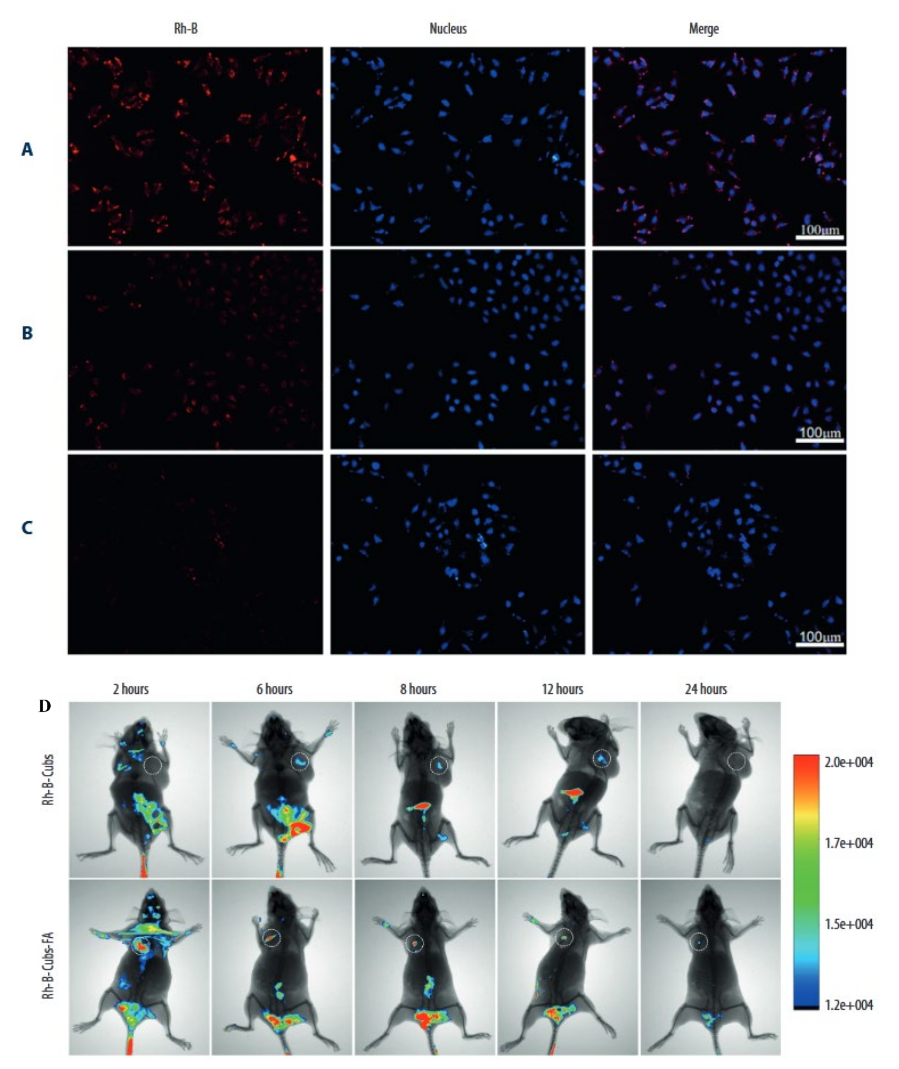 Pharmaceutics 14 00600 g006 550